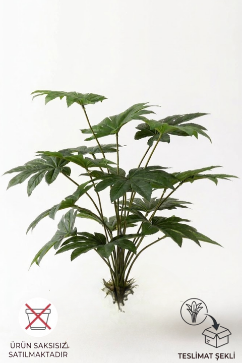 Yapay Salon Köşe Çiçeği Japon Çınar 80 Cm Saksısız