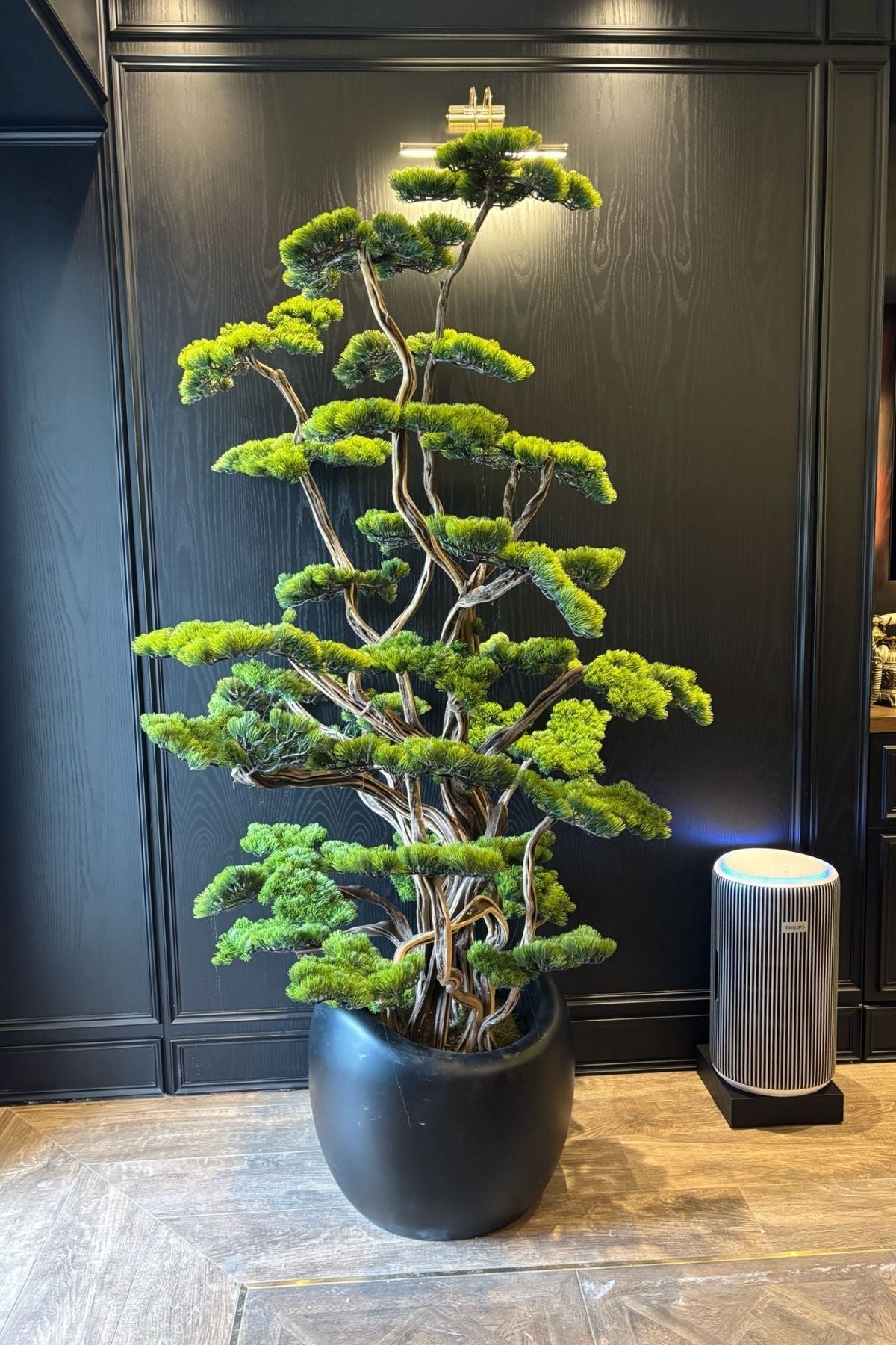 Yapay Lüx Bonsai Ağacı 200 cm 80 Dal Siyah Fiber Saksı