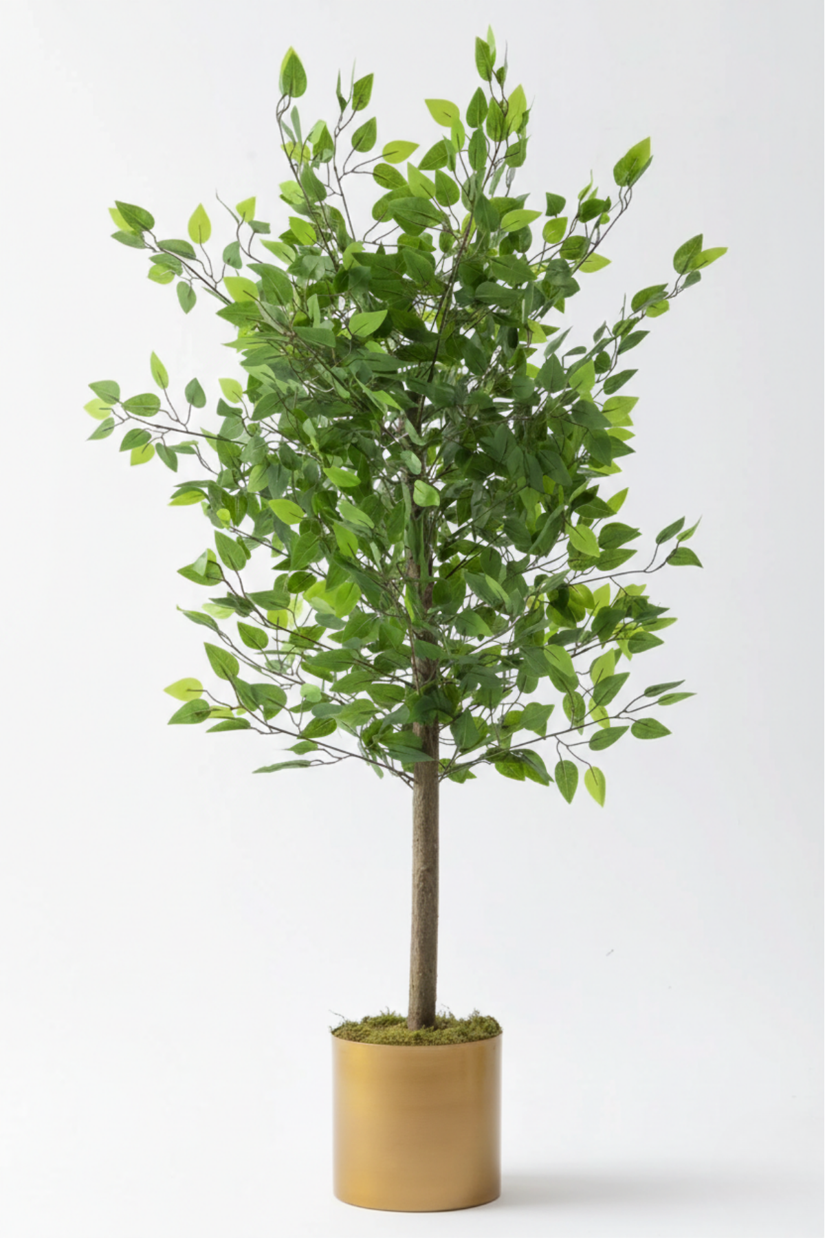 Yapay Benjamin Ağacı