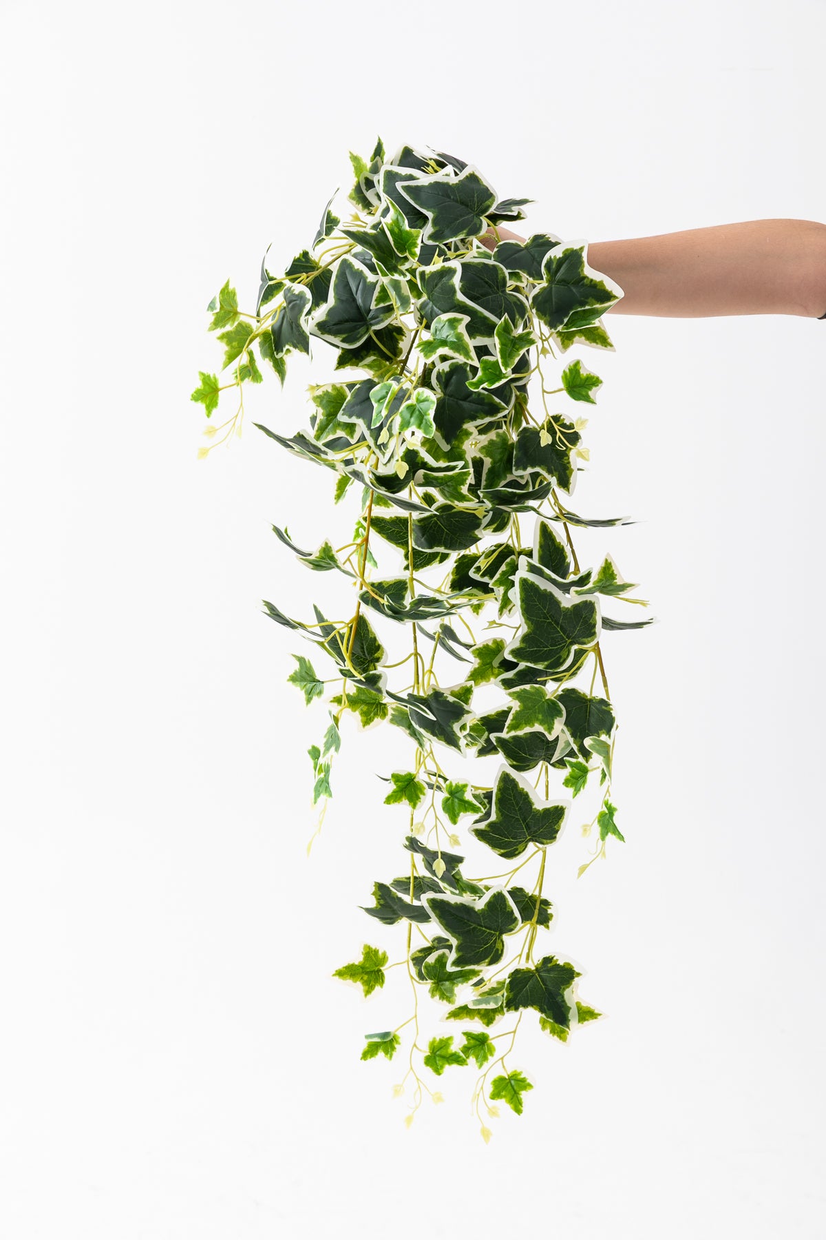 Yapay Hedera Sarmaşık 100 Cm 9 Dal Yeşil Beyaz