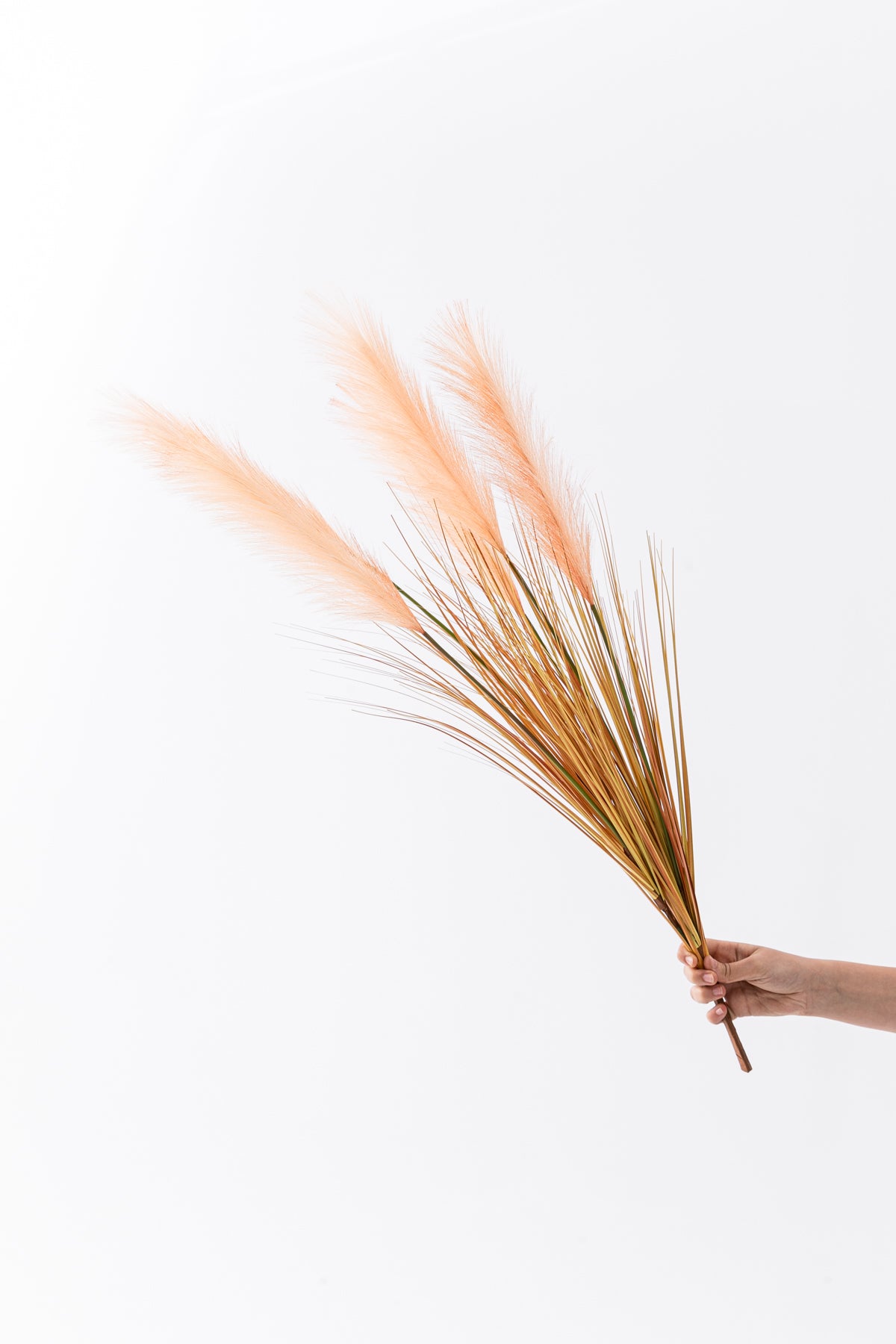 Yapay Pampas Saz Demeti 100 Cm 5 Dal