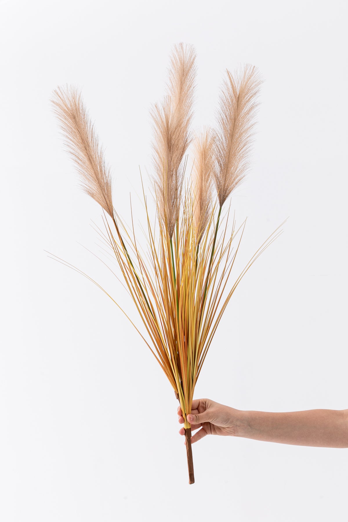 Yapay Pampas Saz Demeti 100 Cm 5 Dal