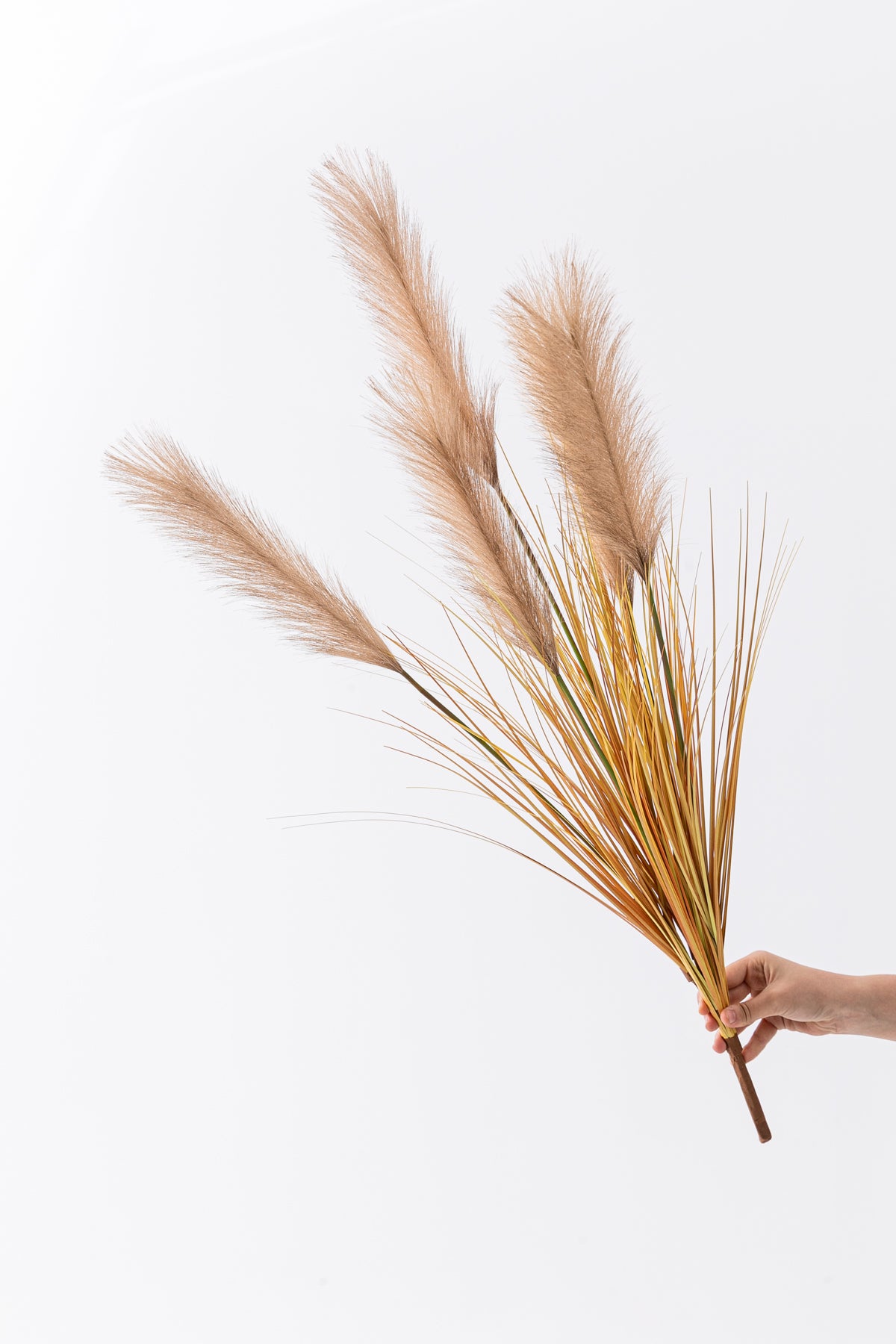Yapay Pampas Saz Demeti 100 Cm 5 Dal