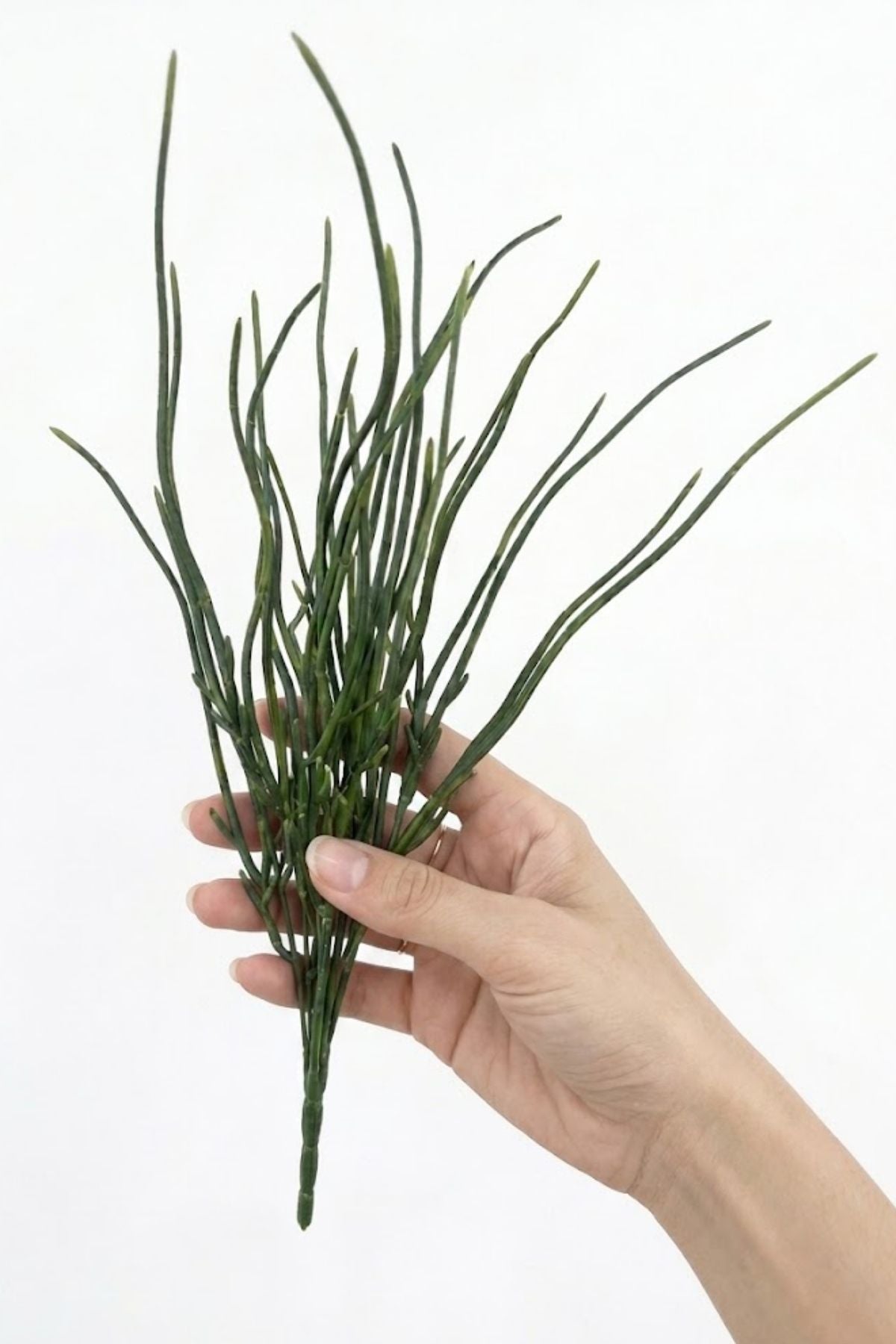 Yapay Sazlık 45 Cm 5 Dal