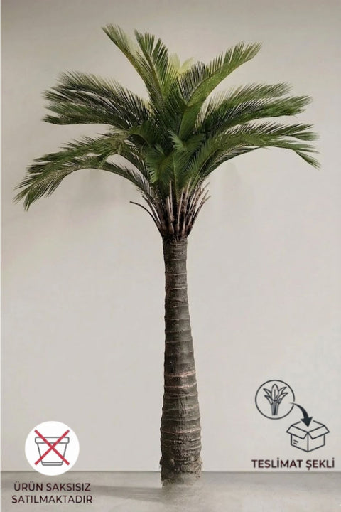 Premium Yapay Çikas Palma Ağacı 190 cm 32 dal Saksısız (Uv)
