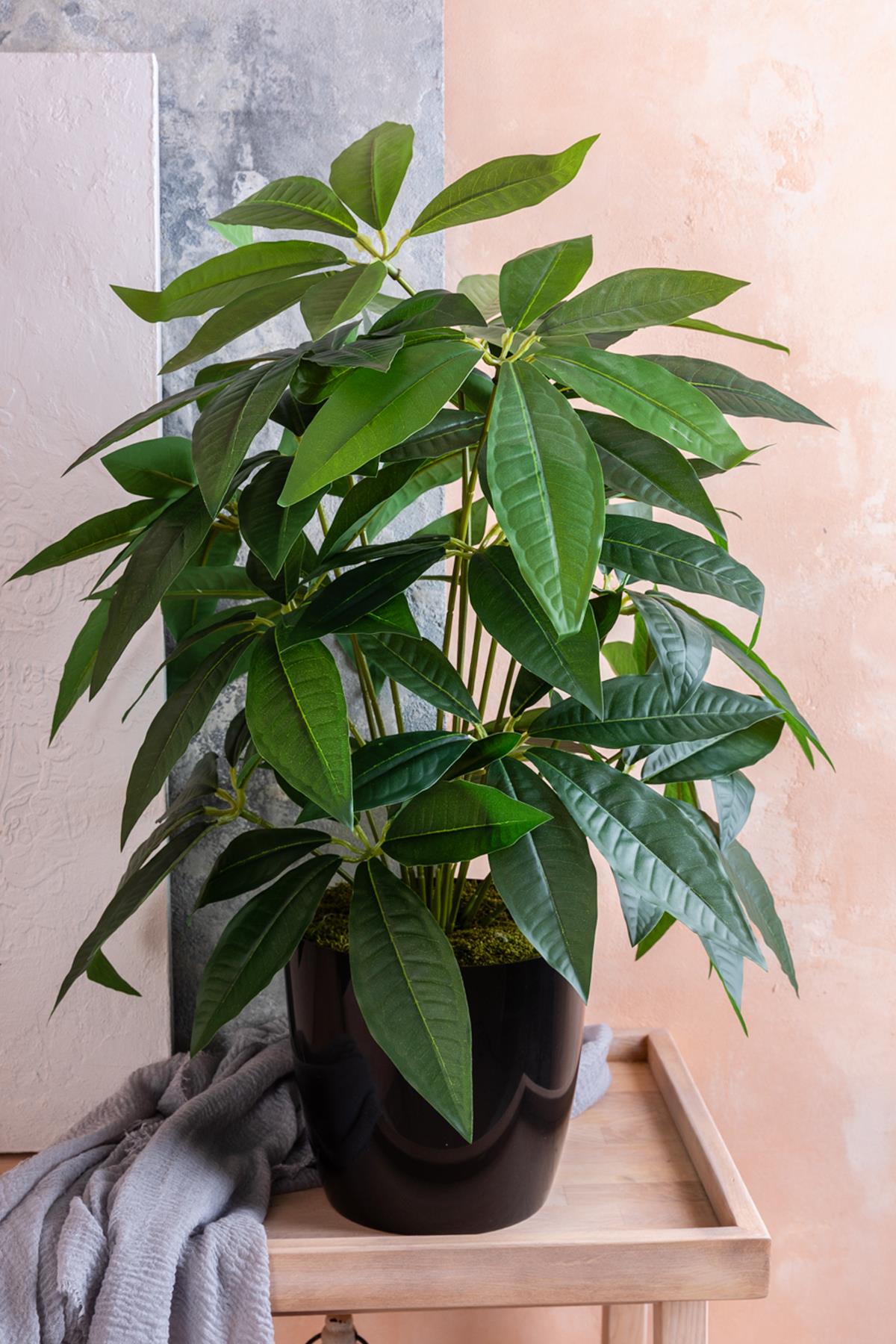 Salon Köşe Çiçeği Yapay Para Ağacı 80 Cm