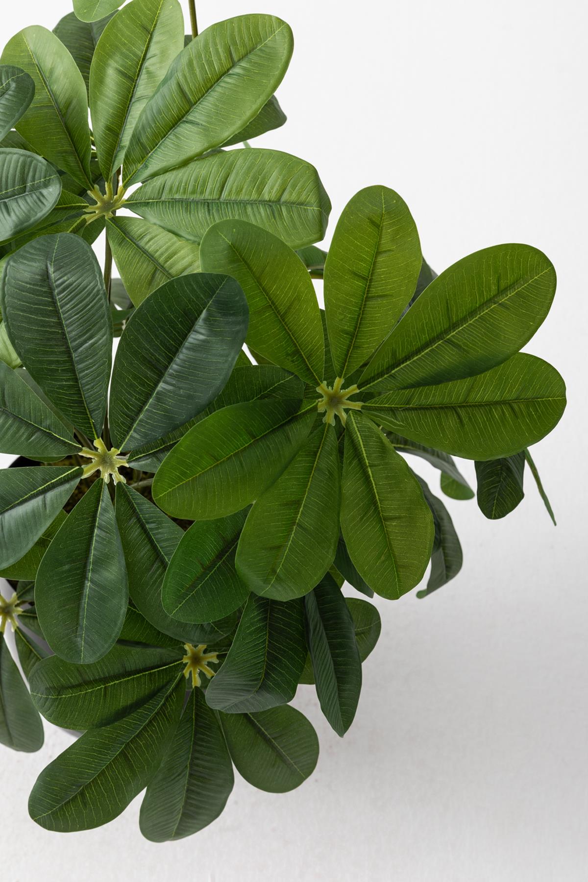 Salon Köşe Yapay Çiçekleri Şefrole