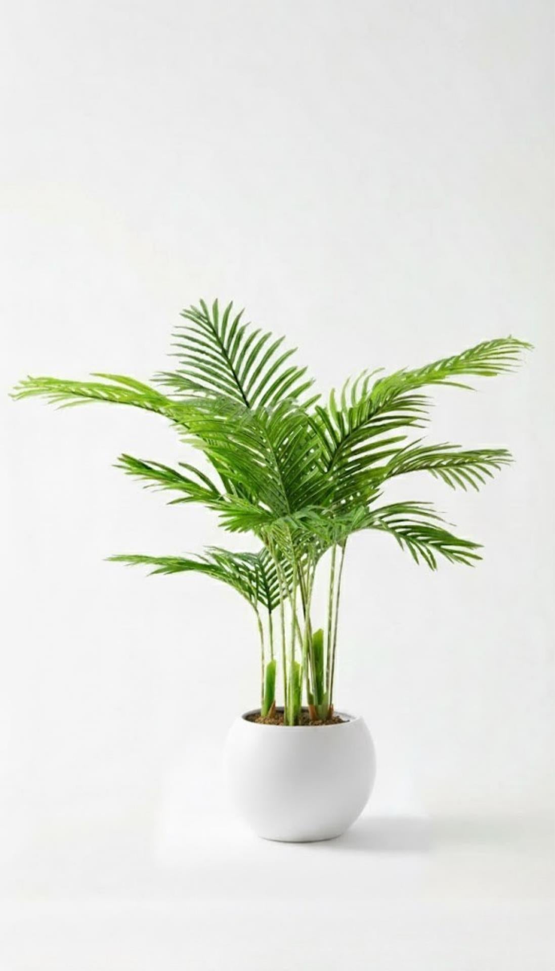 Yapay 3 Gövdeli Areka Palmiyesi