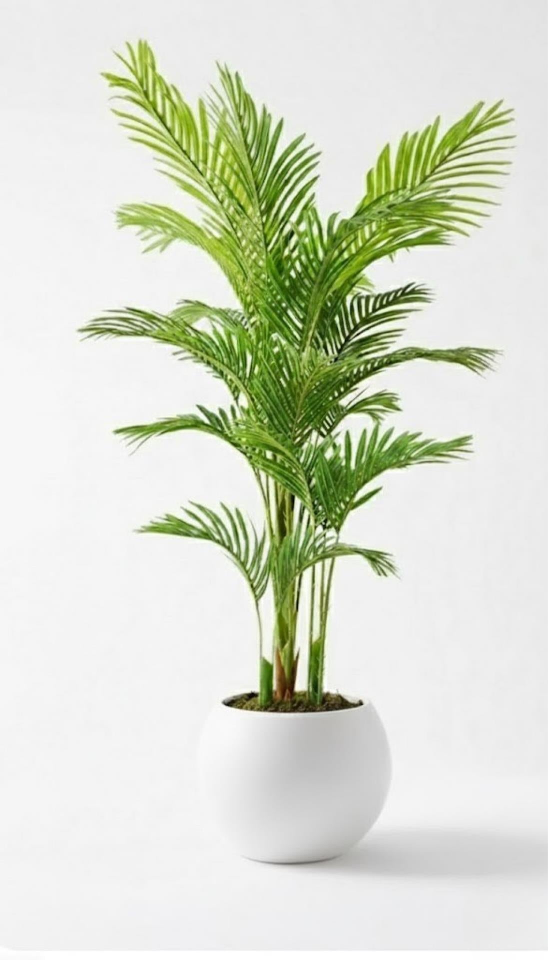 Yapay 3 Gövdeli Areka Palmiyesi