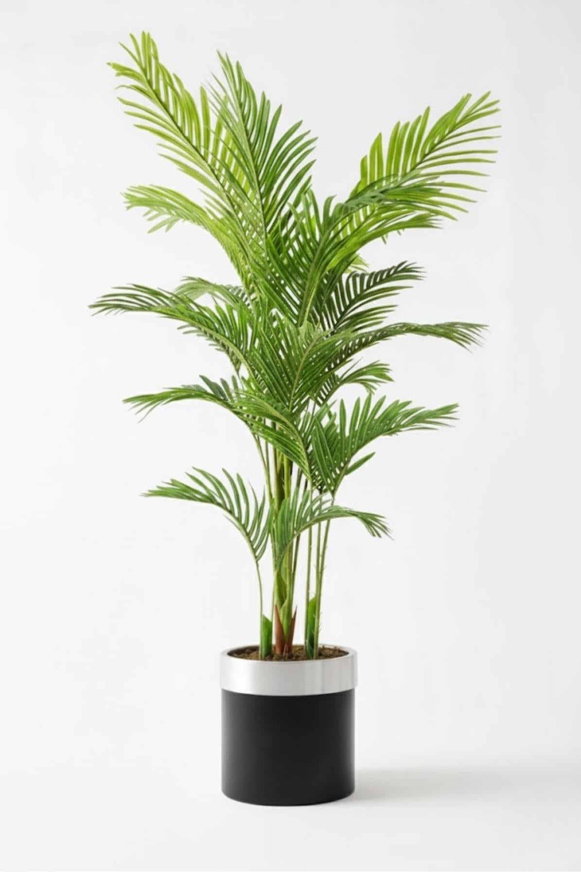 Yapay 3 Gövdeli Areka Palmiyesi