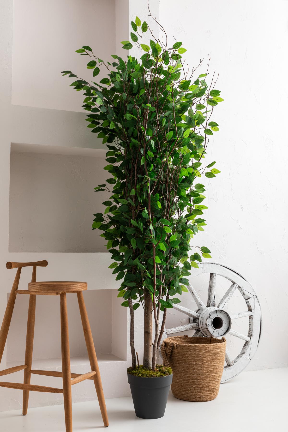 Yapay Ağaç 200 cm Benjamin 144 dal (Yoğun)