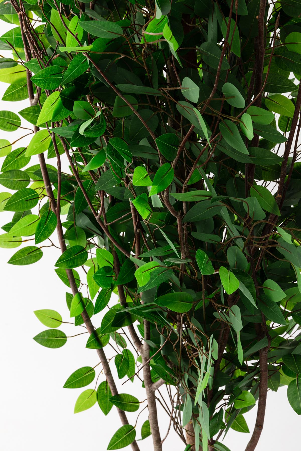 Yapay Ağaç 200 cm Benjamin 144 dal (Yoğun)