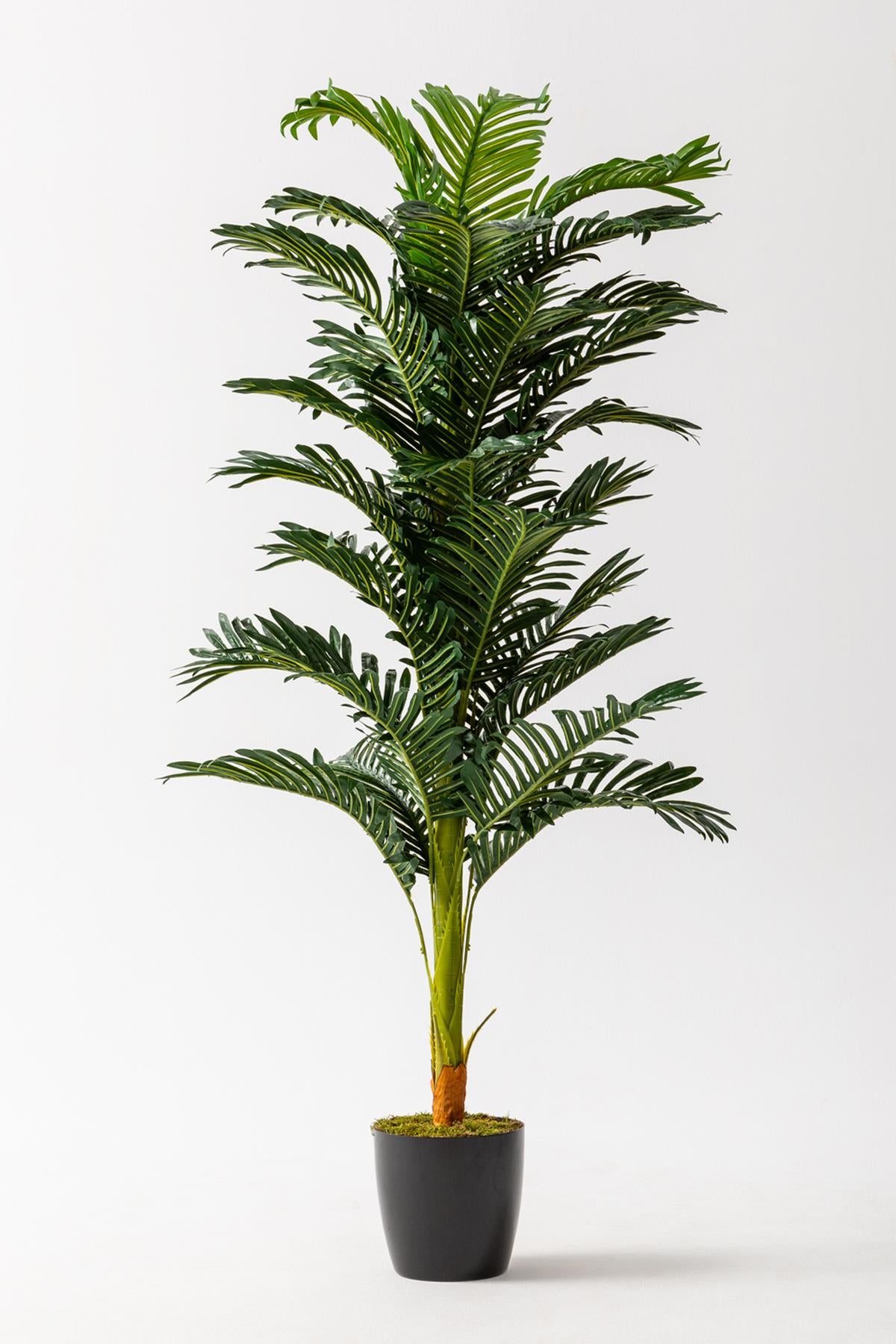 Yapay Ağaç Areka 150 Cm 32 Yaprak