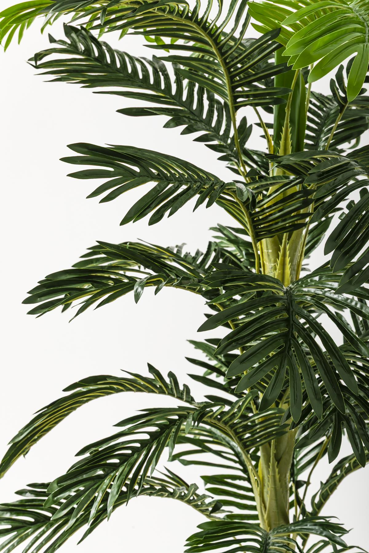 Yapay Ağaç Areka 180 Cm 32 Yaprak Krem Balon Saksı