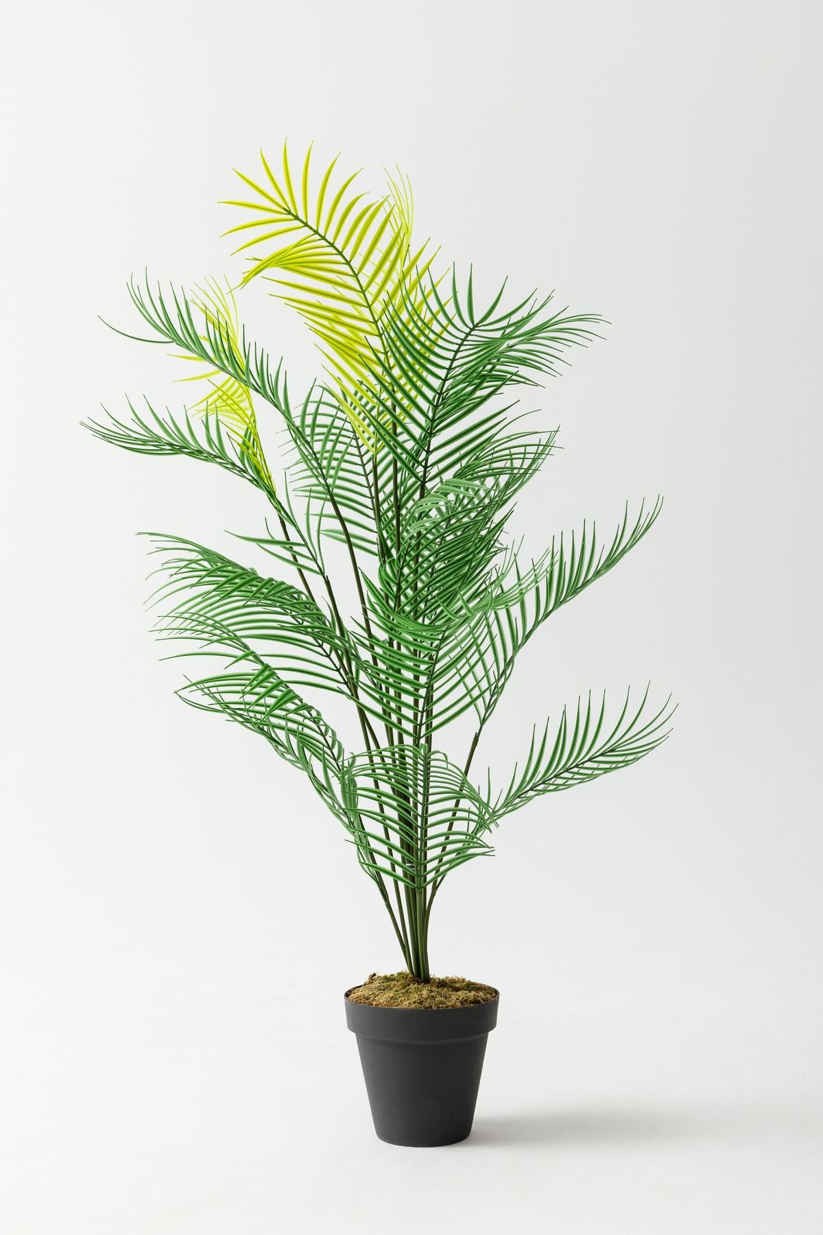 Yapay Ağaç Areka Ağacı Palmiye Ağacı Salon Bitkisi Yapay Areka 130 Cm 20 Yaprak