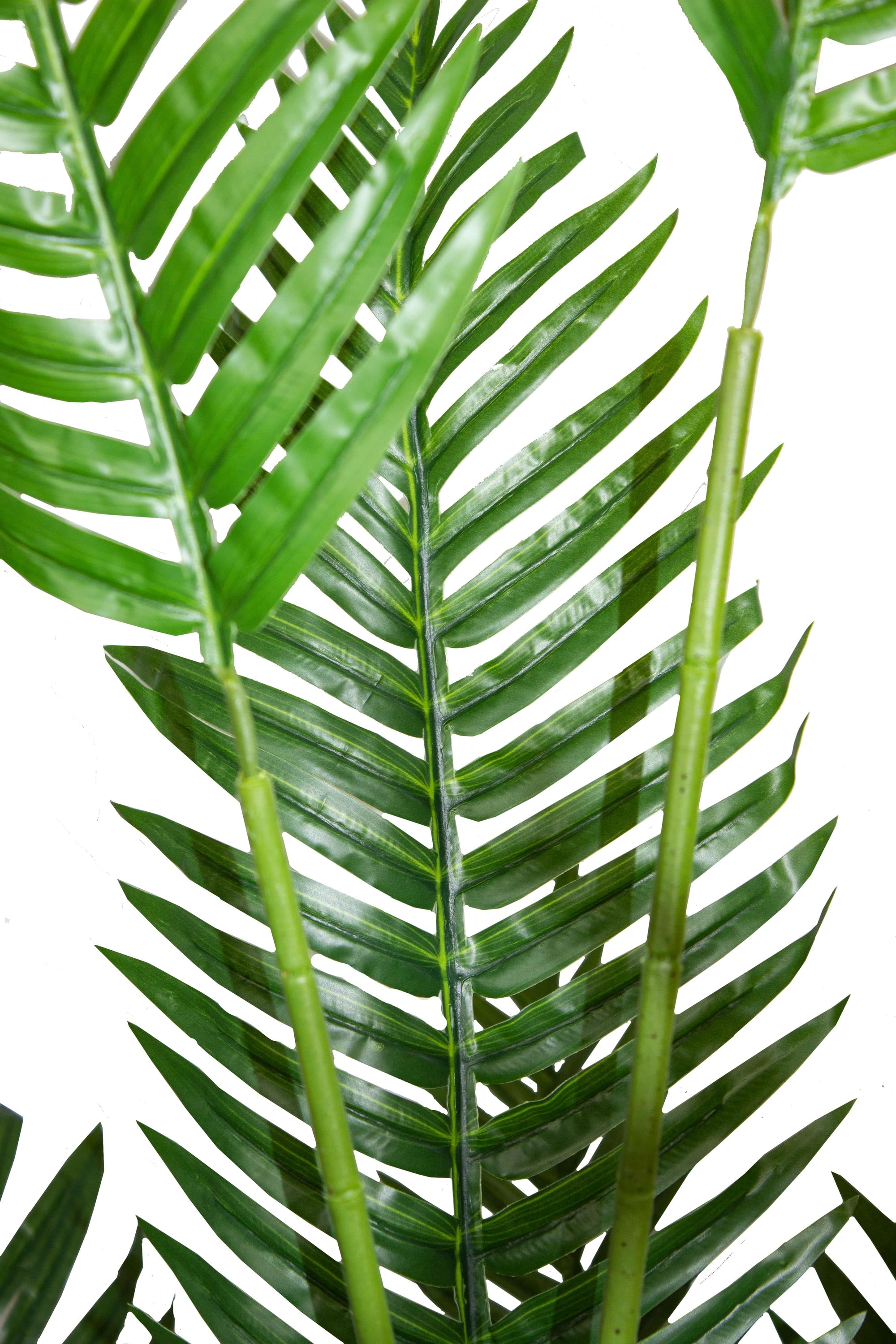 Yapay Ağaç Areka Palmiyesi 150 Cm 22 Yaprak