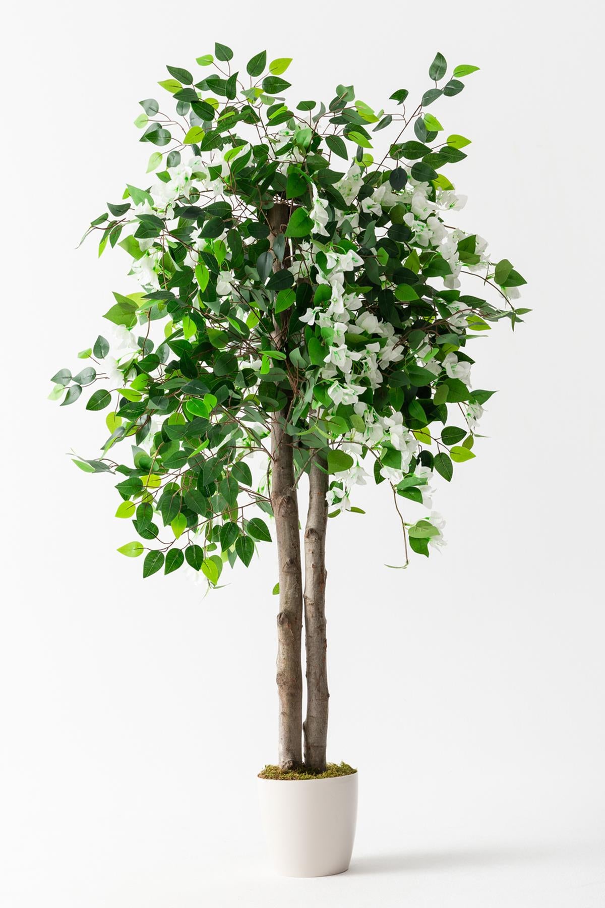 Yapay Ağaç Begonvil Beyaz 160 Cm 56 Dal