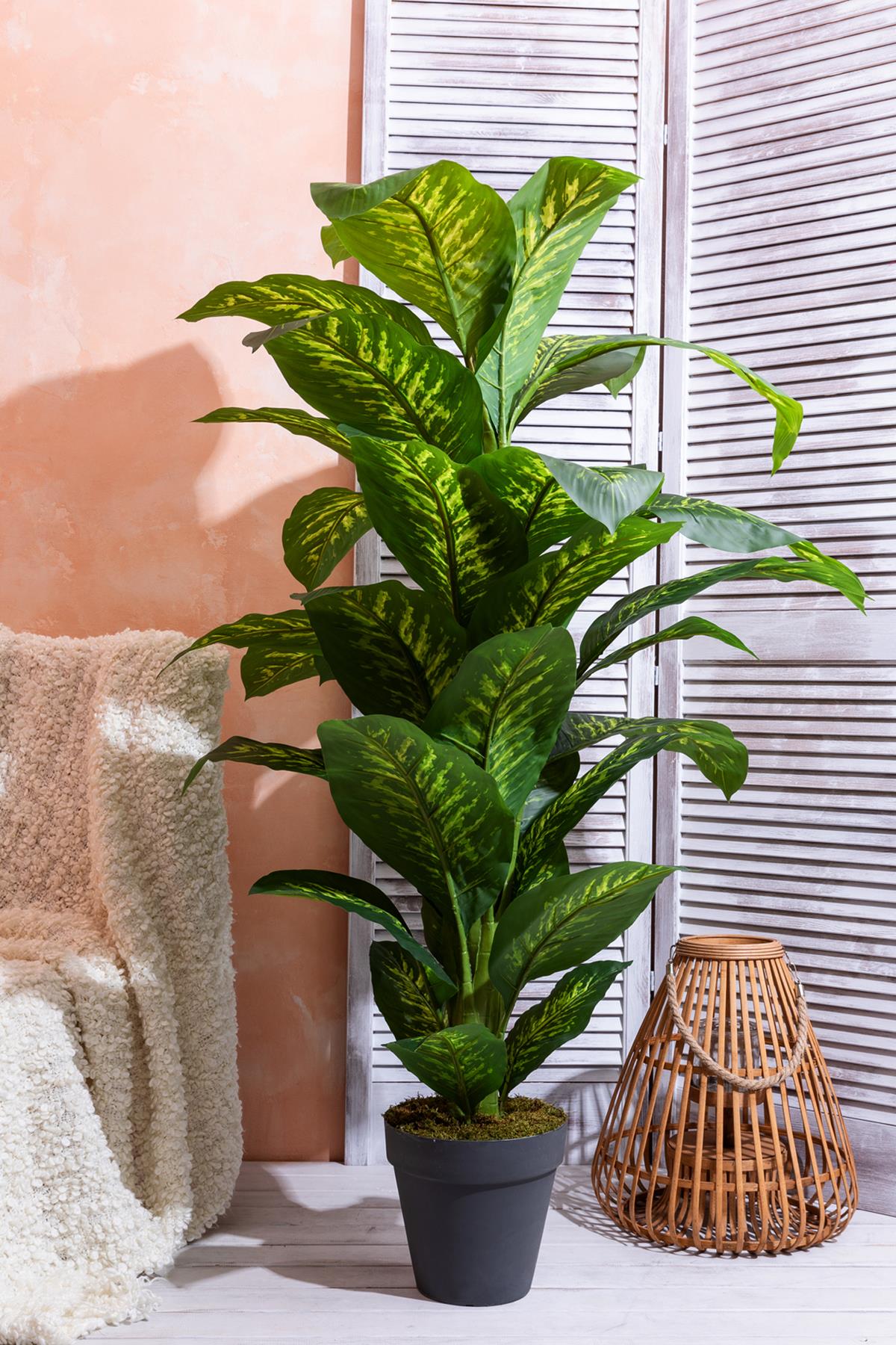 Yapay Ağaç Difenbahya 160 Cm Siyah Saksı