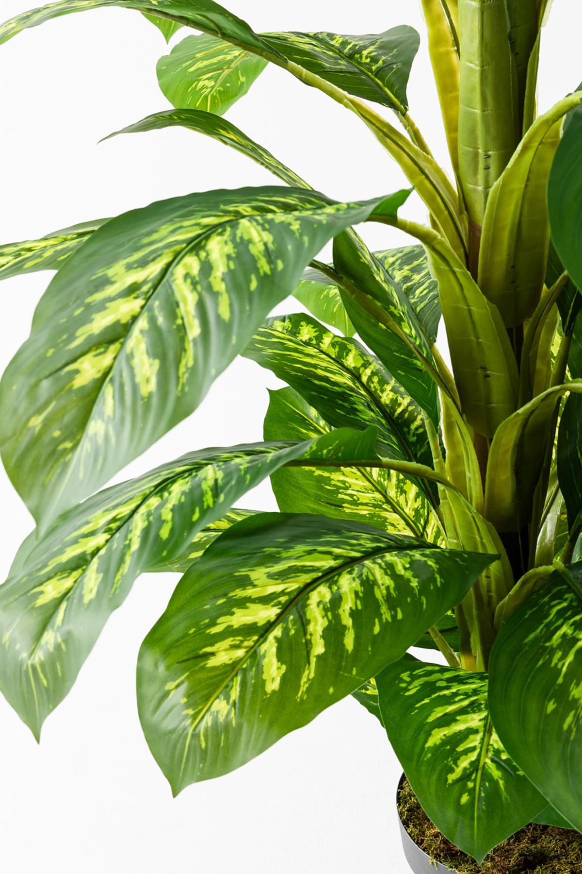 Yapay Ağaç Difenbahya 160 Cm Siyah Saksı