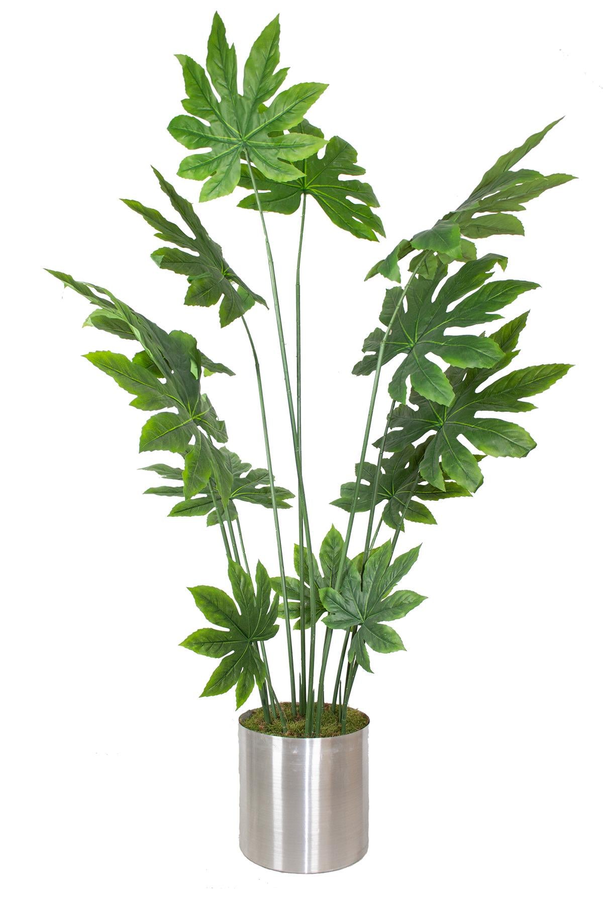 Yapay Ağaç Japon Çınar 180 cm 13 Dal