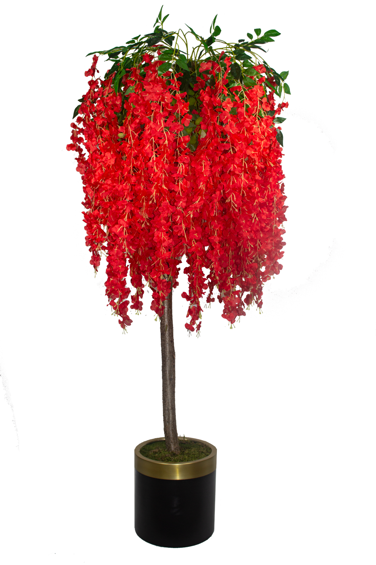 Yapay Ağaç Kırmızı Akasya Siyah Gold Saksı 180 Cm