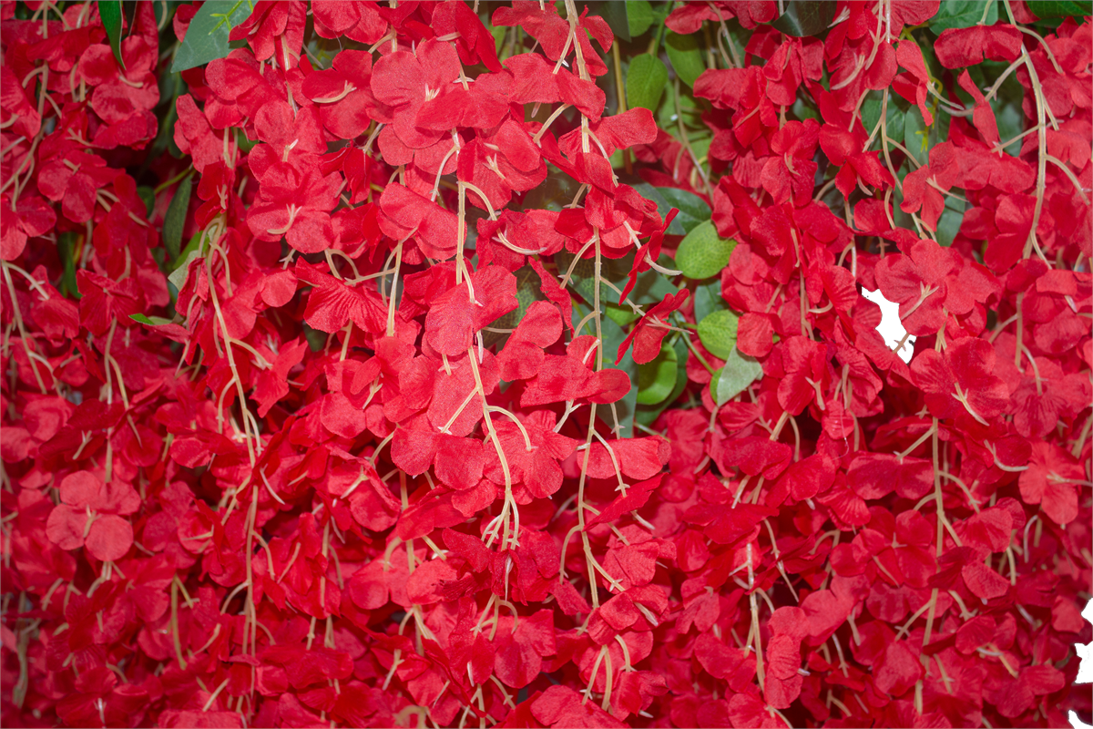 Yapay Ağaç Kırmızı Akasya Siyah Gold Saksı 180 Cm