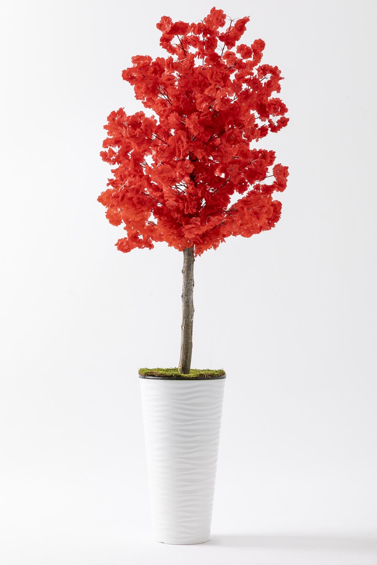 Yapay Ağaç Kırmızı Bahar Dalı 180 Cm Konik Saksı