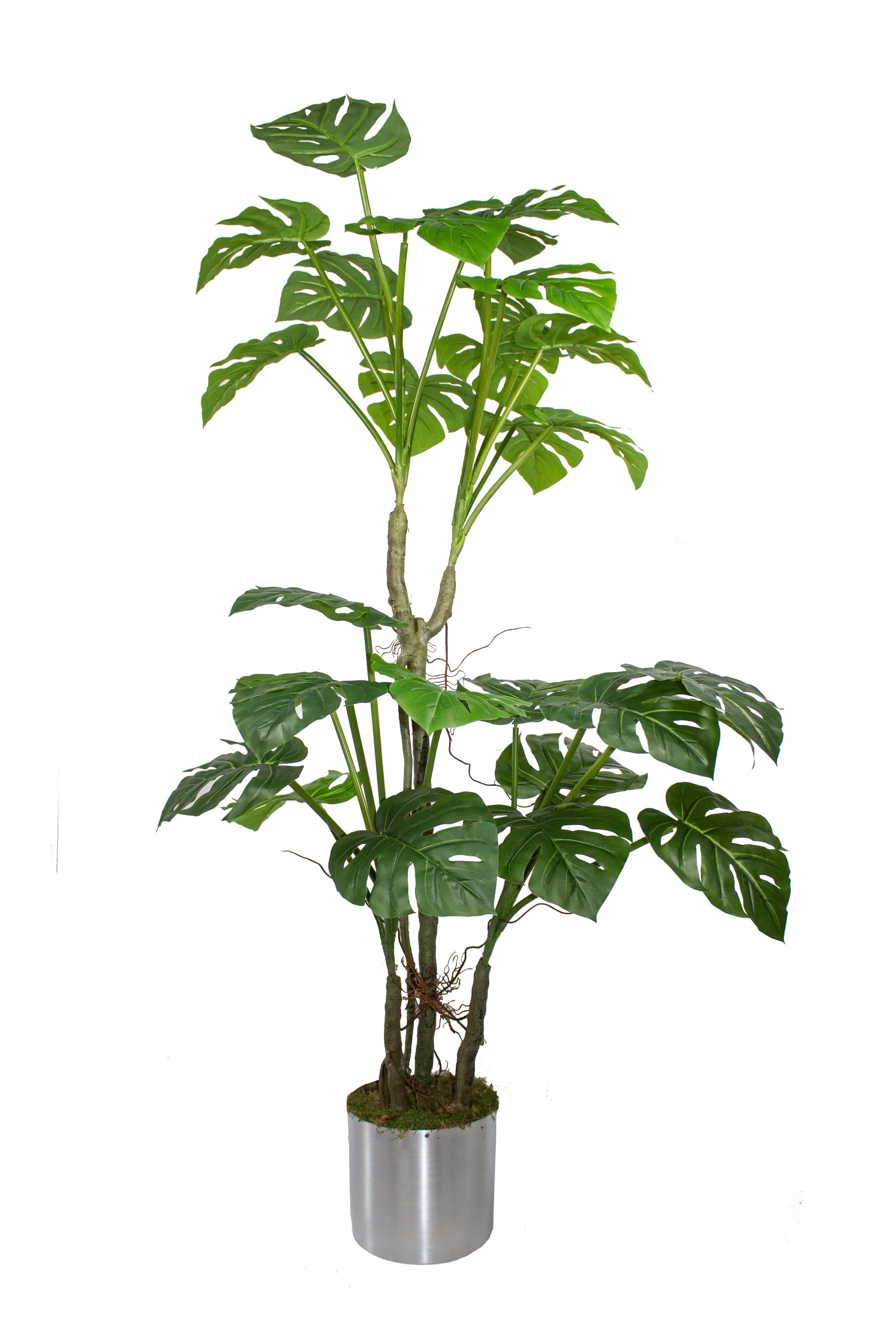 Yapay Ağaç Monstera 170 Cm 29 Yaprak