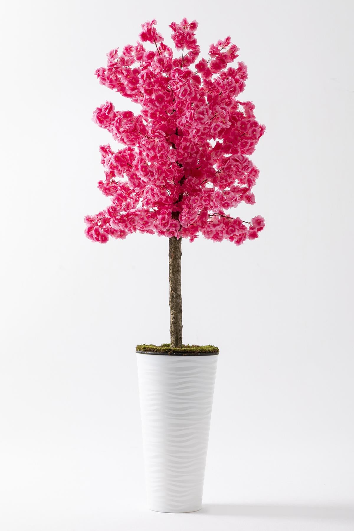 Yapay Ağaç Pembe Bahar Dalı 180 Cm Beyaz Konik Saksı