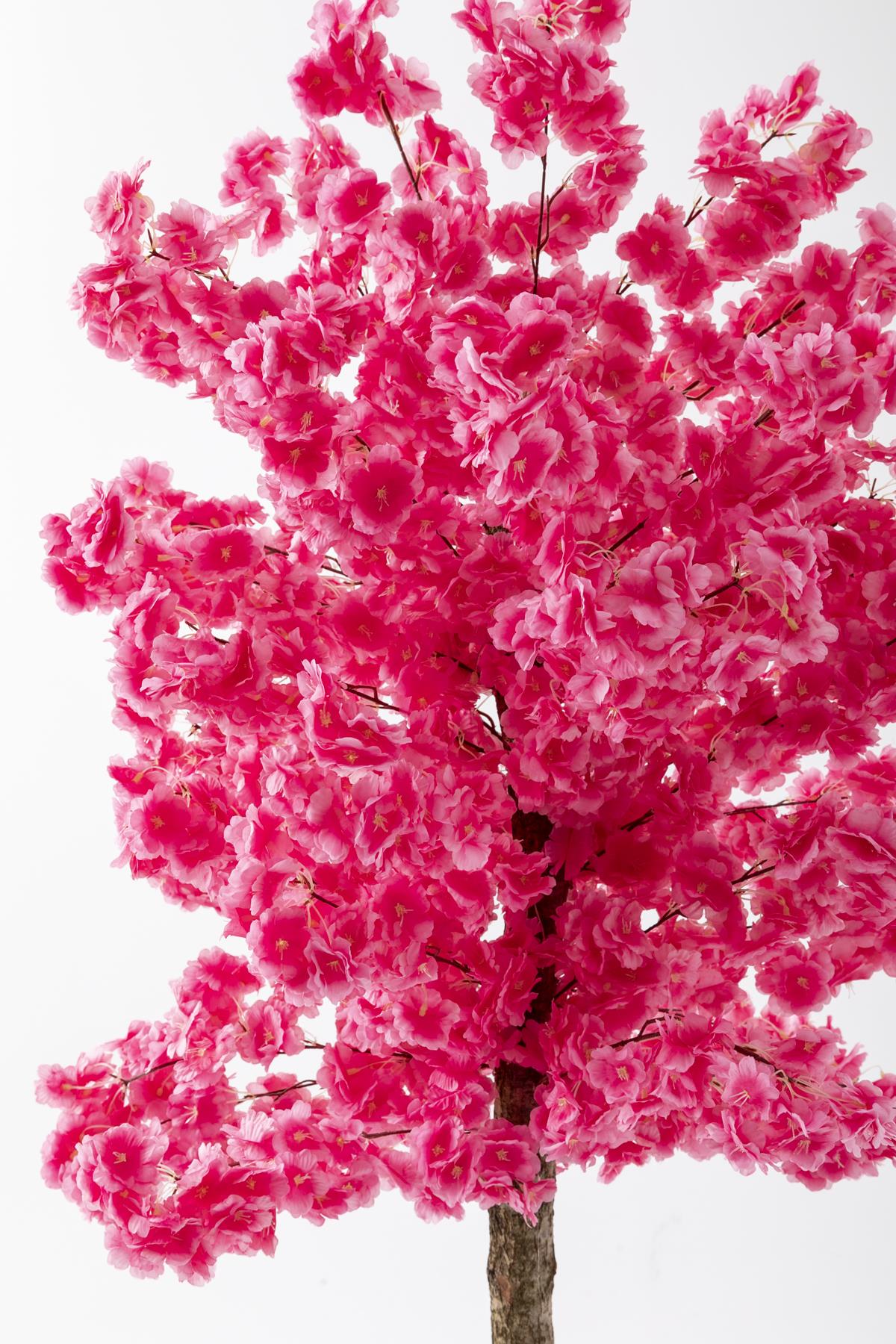 Yapay Ağaç Pembe Bahar Dalı 180 Cm Beyaz Konik Saksı