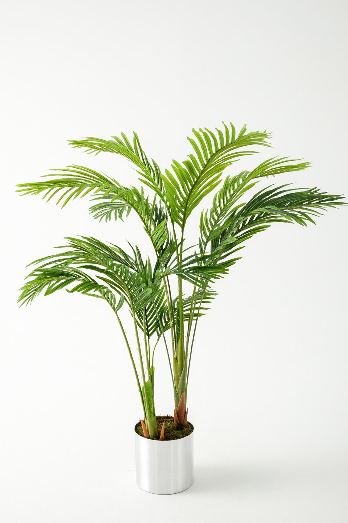 Yapay Areka Palmiyesi 160 Cm