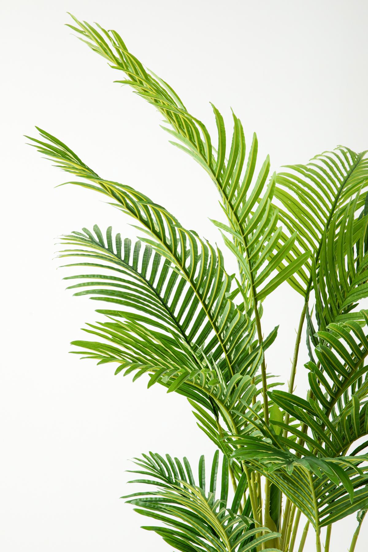 Yapay Areka Palmiyesi 180 Cm (Saksısız)