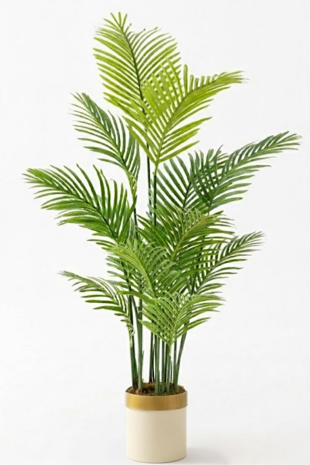 Yapay Areka Palmiyesi Ağacı