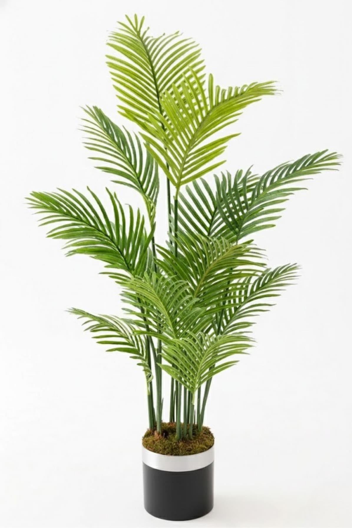 Yapay Areka Palmiyesi Ağacı