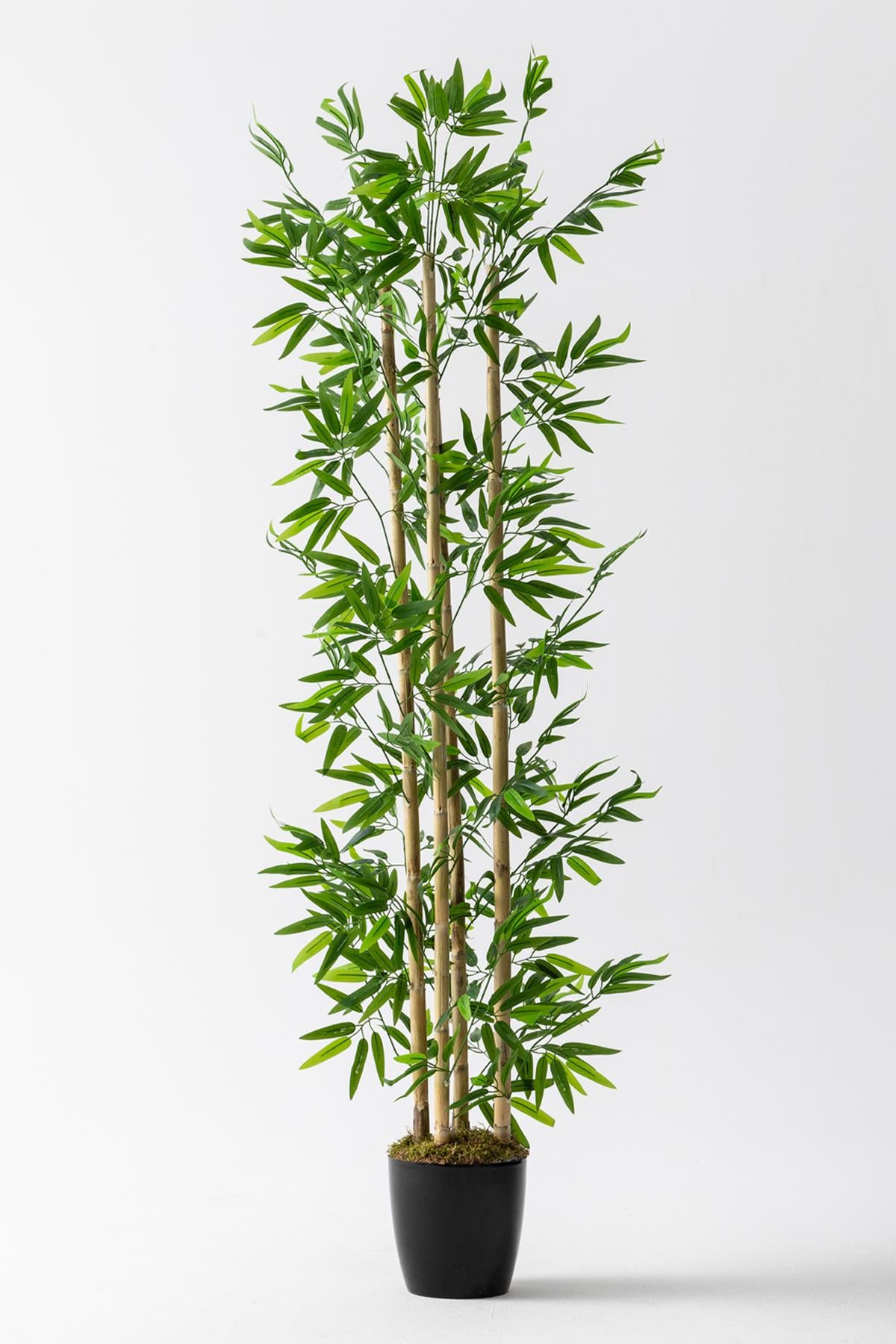 Yapay Bambu Ağacı 180 cm