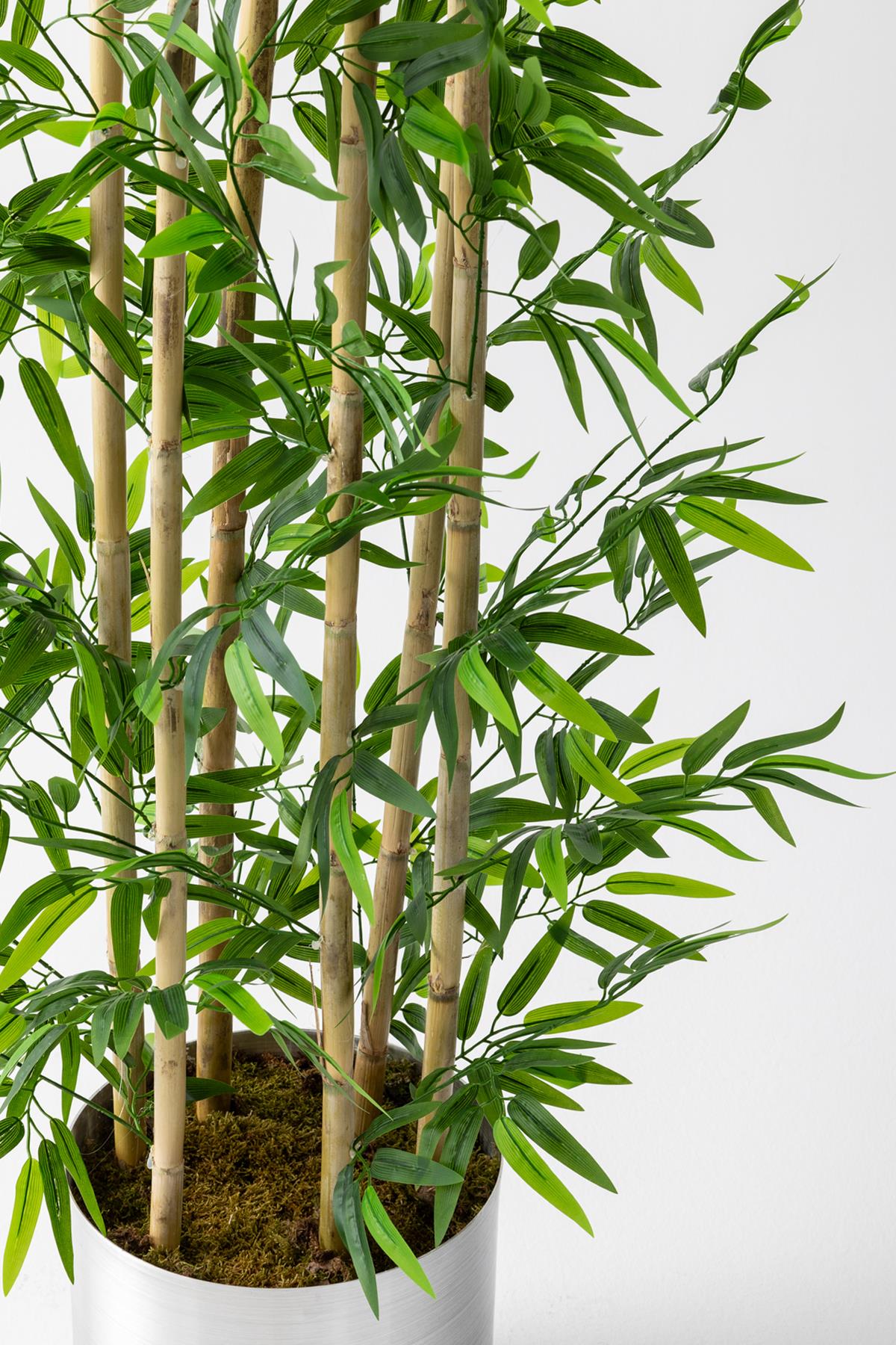 Yapay Bambu Ağacı 185 Cm