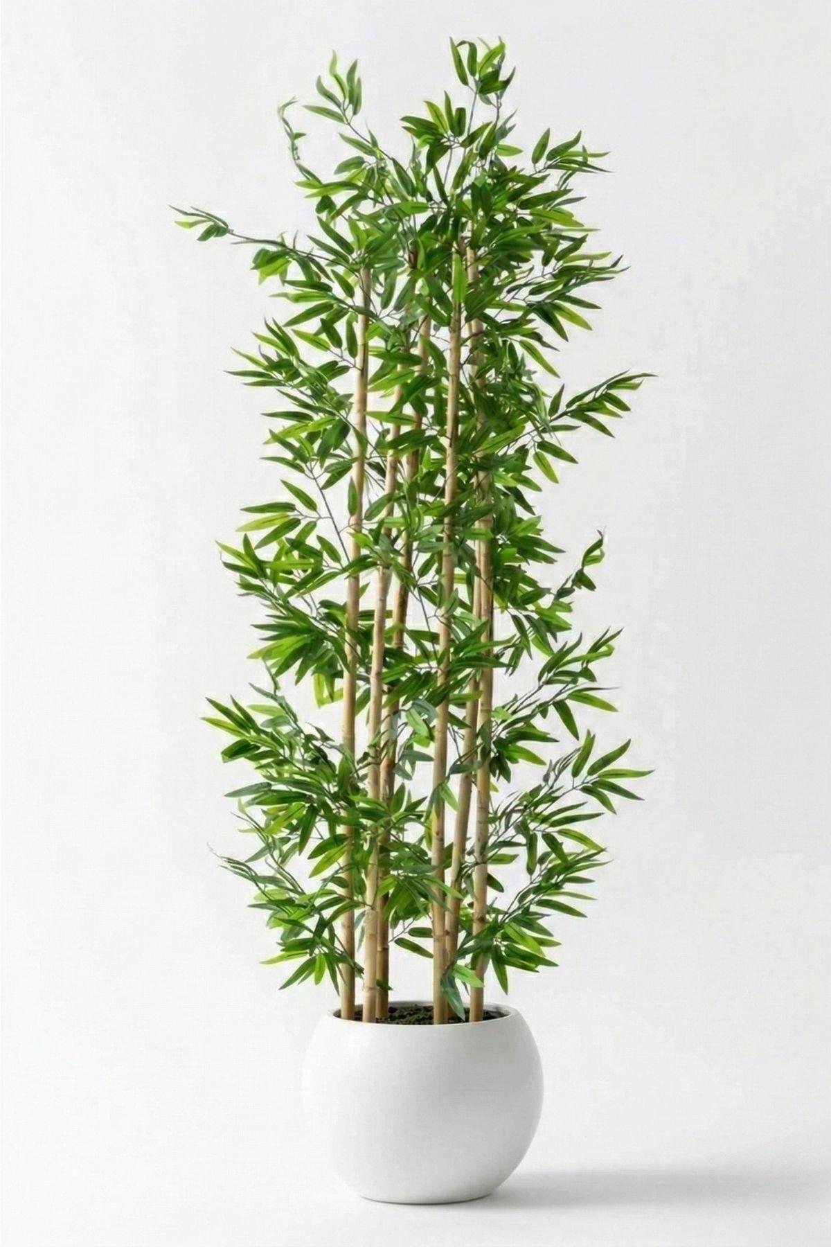 Yapay Bambu Ağacı 185 Cm