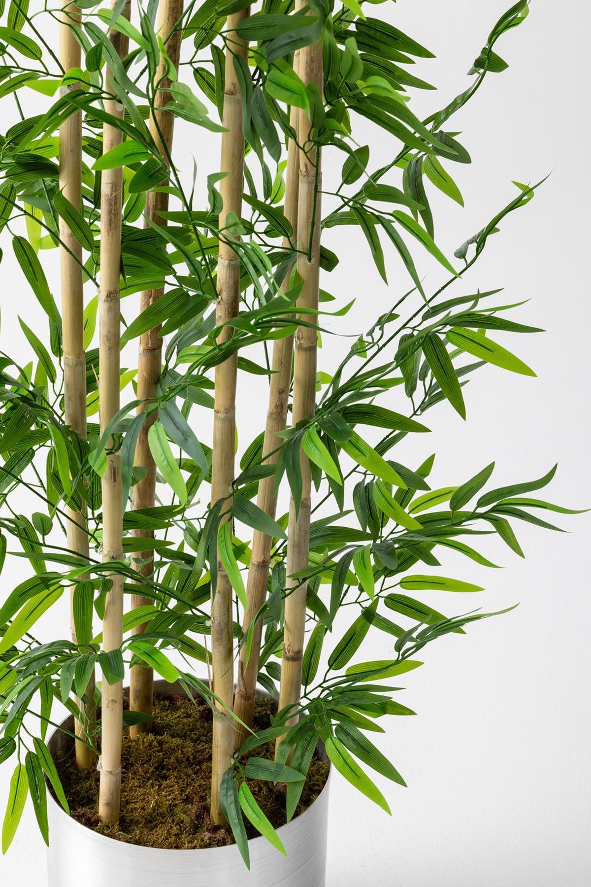 Yapay Bambu Ağacı 185 Cm