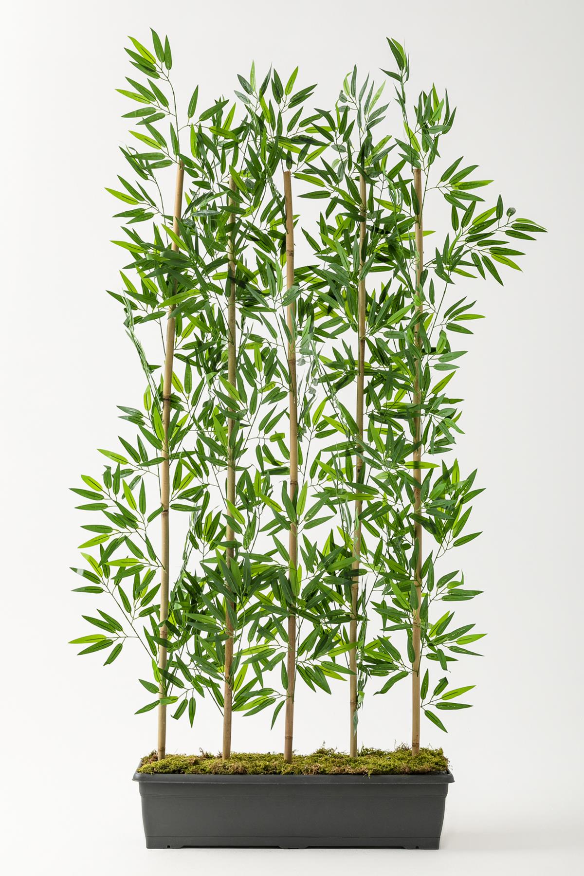 Yapay Bambu Seperatör 175 Cm 5 Çubuklu Plastik Saksı