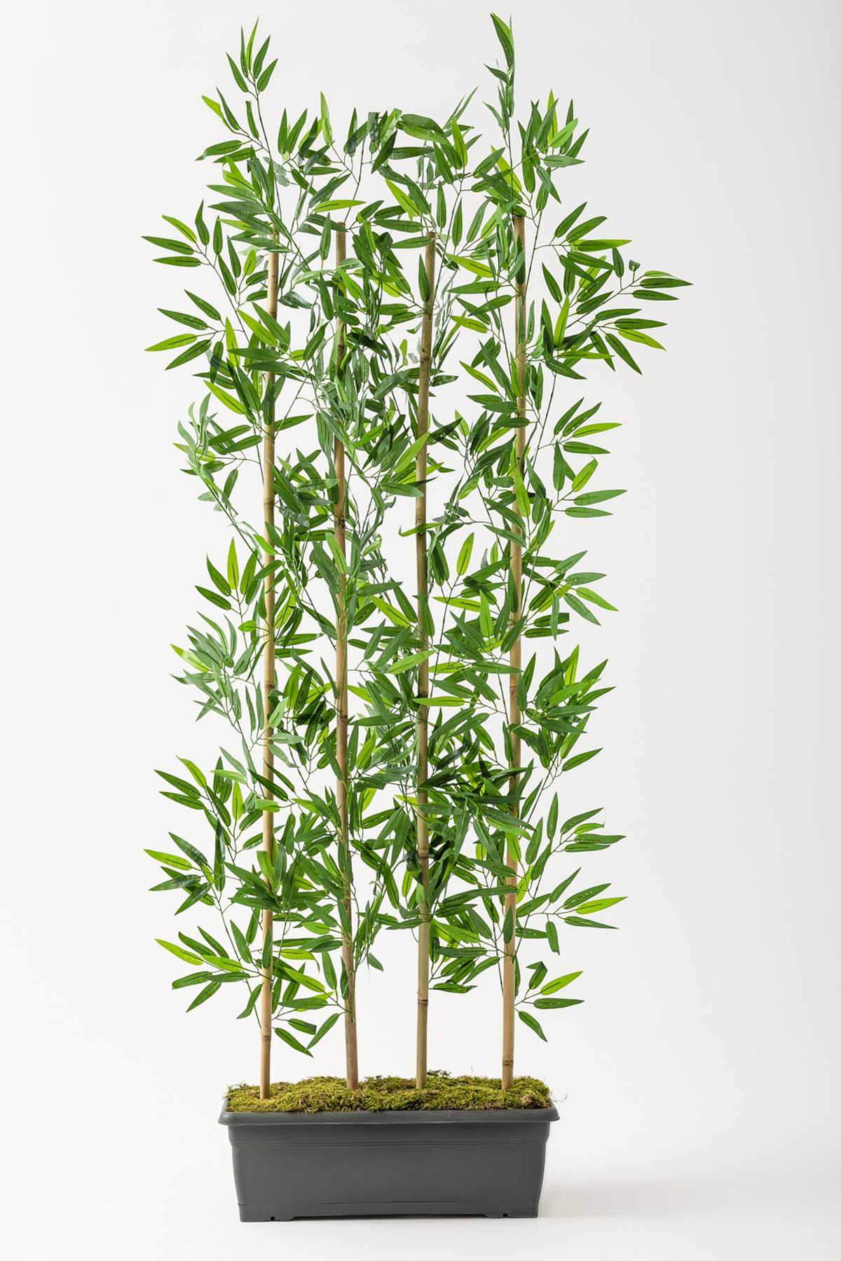 Yapay Bambu Seperatör 175 Cm Plastik Antrasit Saksı