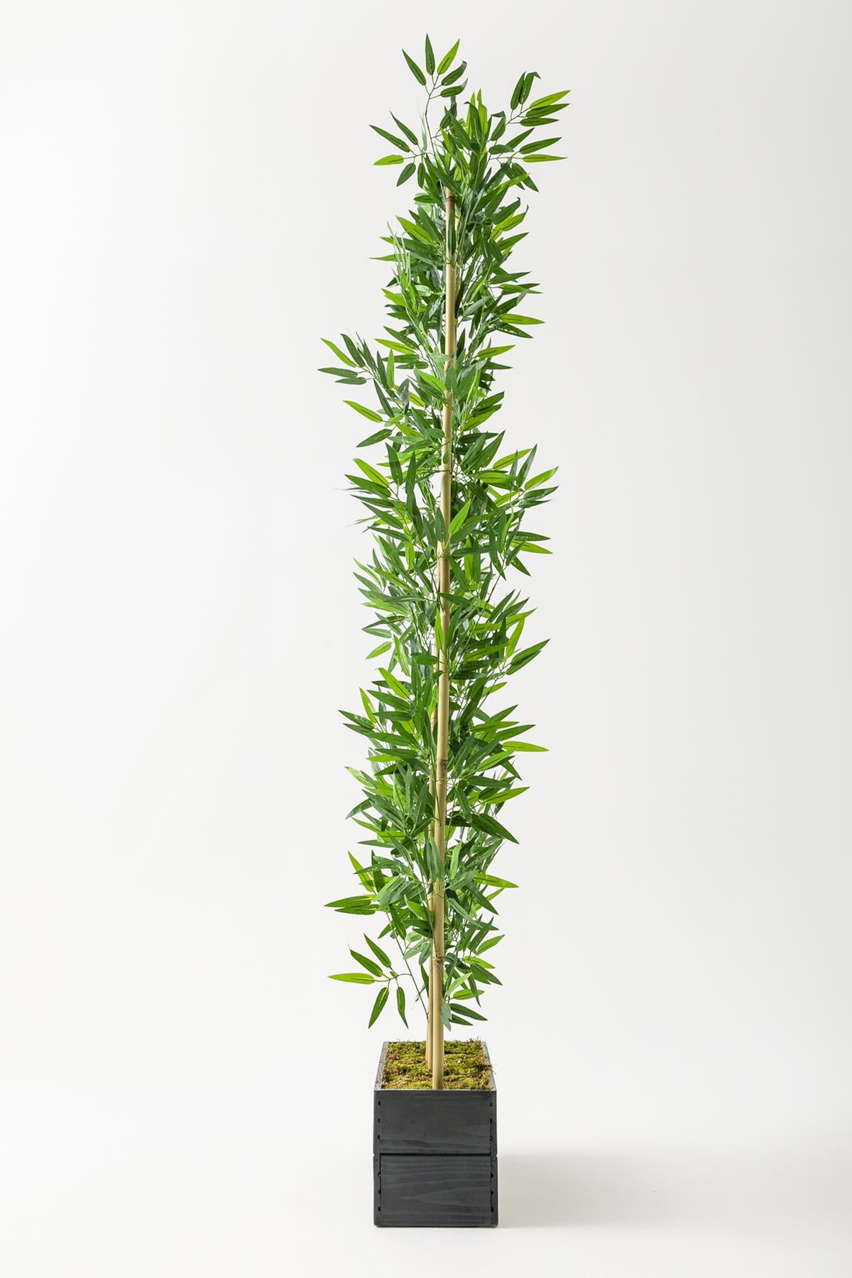 Yapay Bambu Seperatör 200 Cm Ahşap Antrasit Saksı