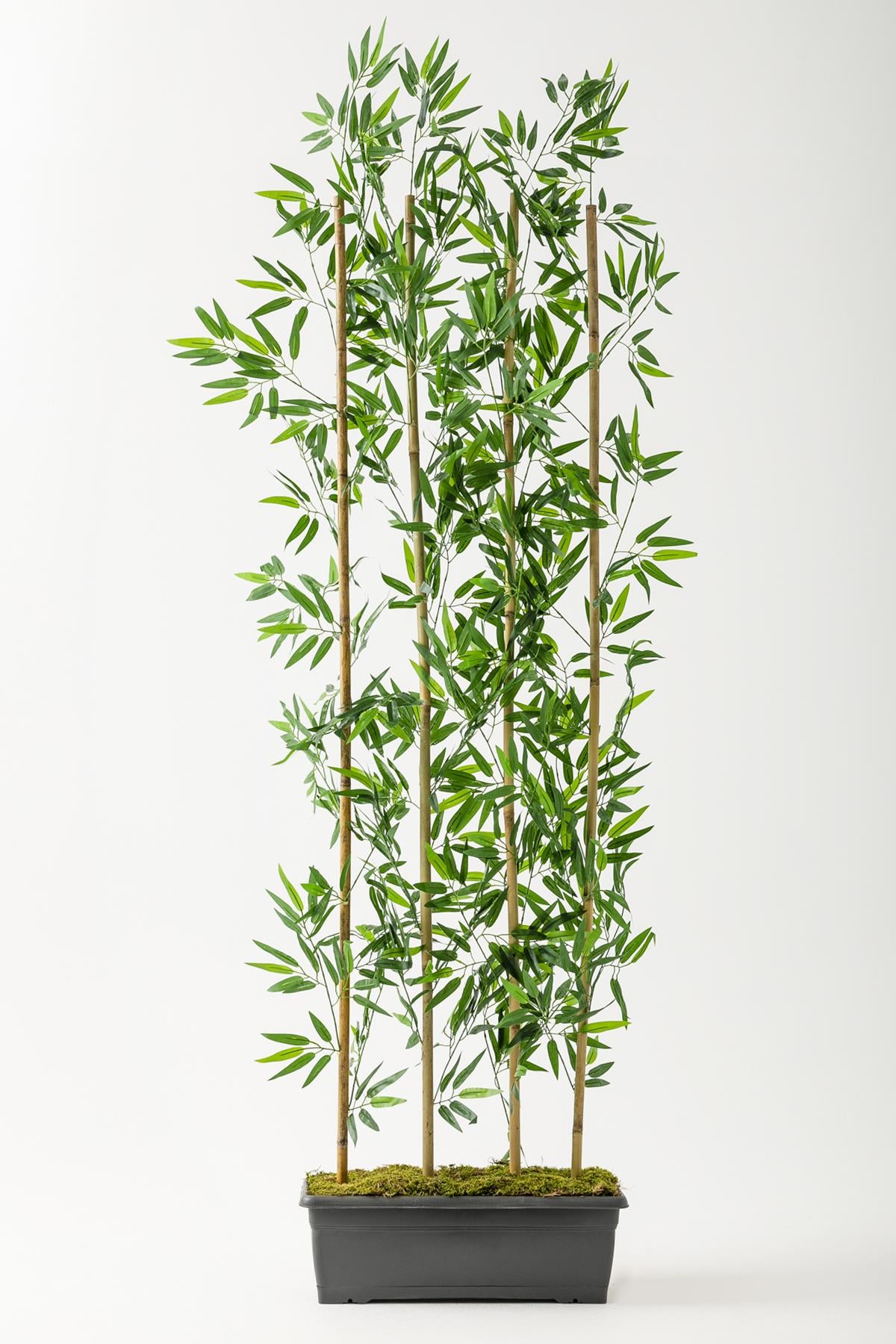 Yapay Bambu Seperatör 200 Cm Plastik Antrasit Saksı