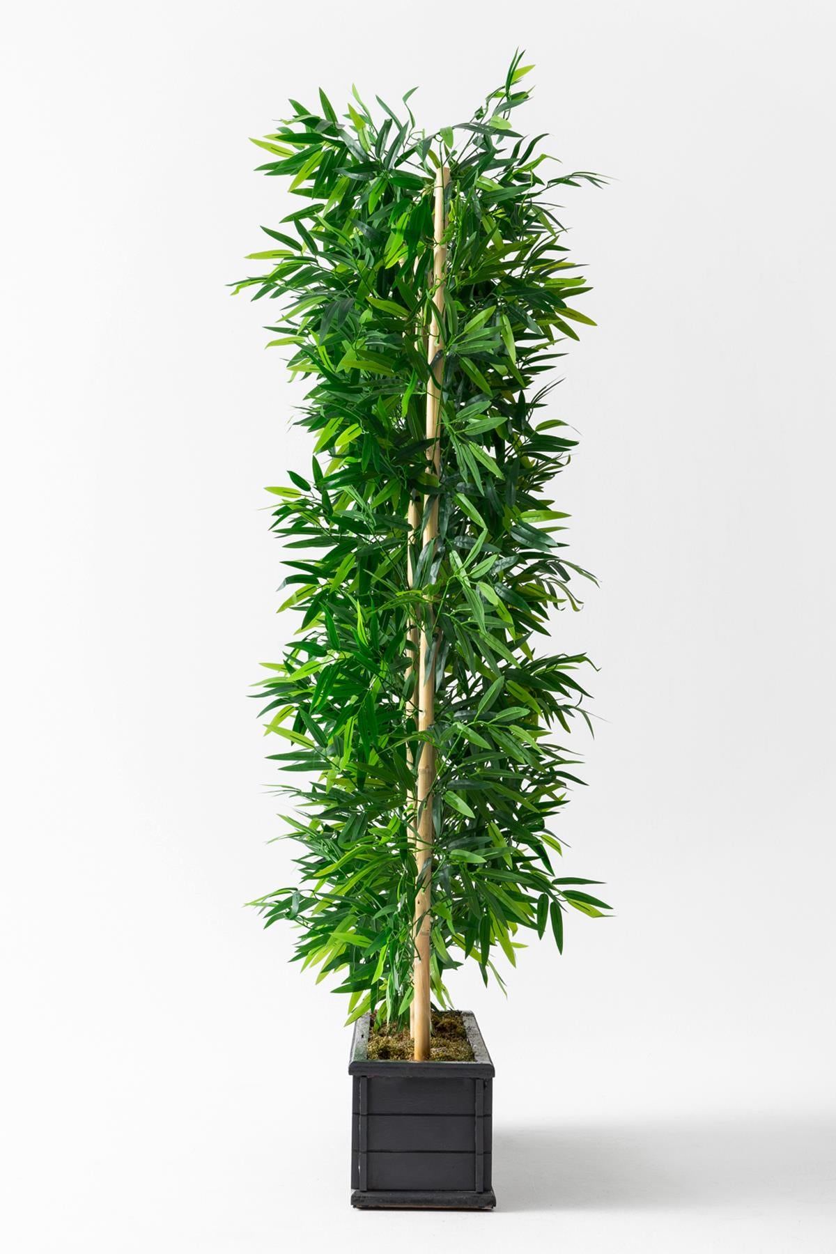 Yapay Bambu Seperatör Ahşap Antrasit Saksı 175 Cm
