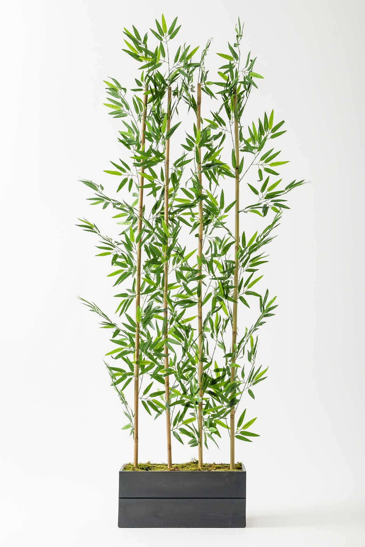 Yapay Bambu Seperatör Ahşap Antrasit Saksı