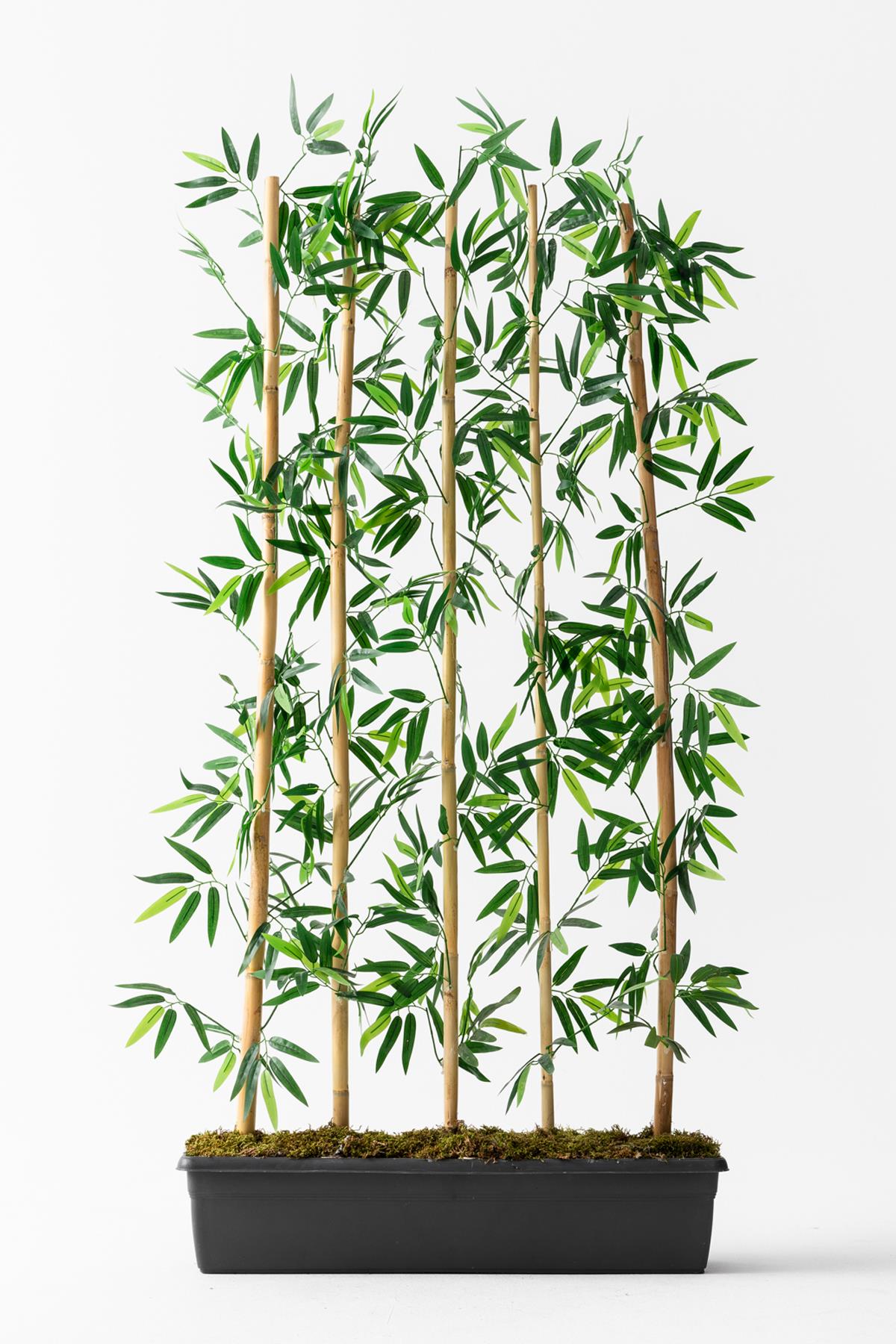 Yapay Bambu Seperatör Antrasit Saksılı 180 Cm