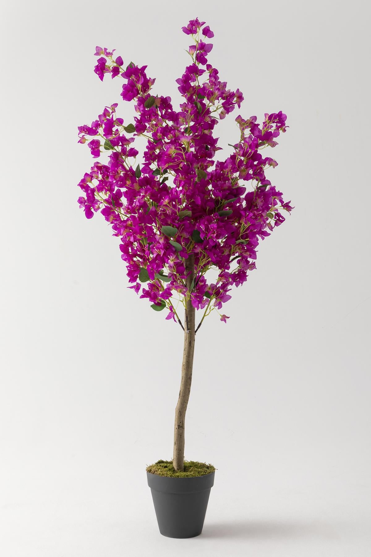 Yapay Begonvil Ağacı 180 Cm Mor