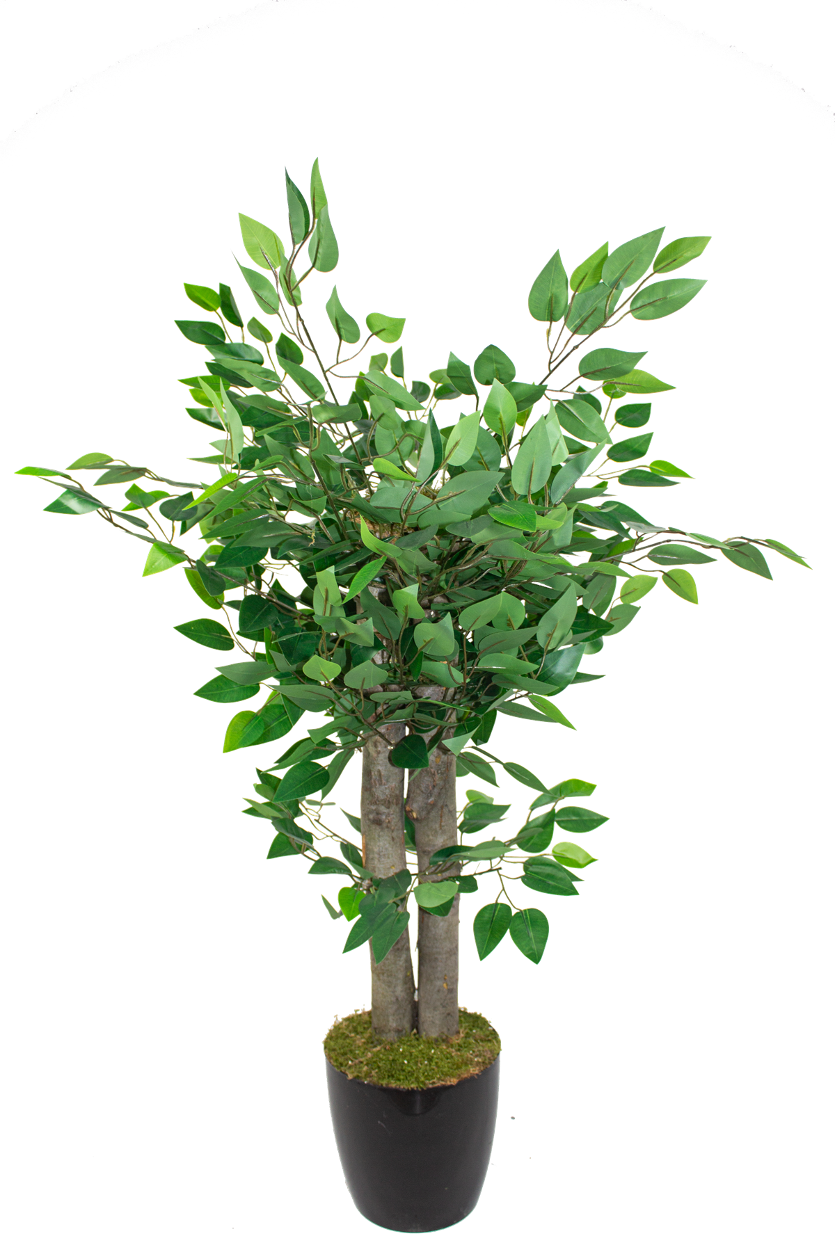 Yapay Benjamin Ağacı 110 Cm