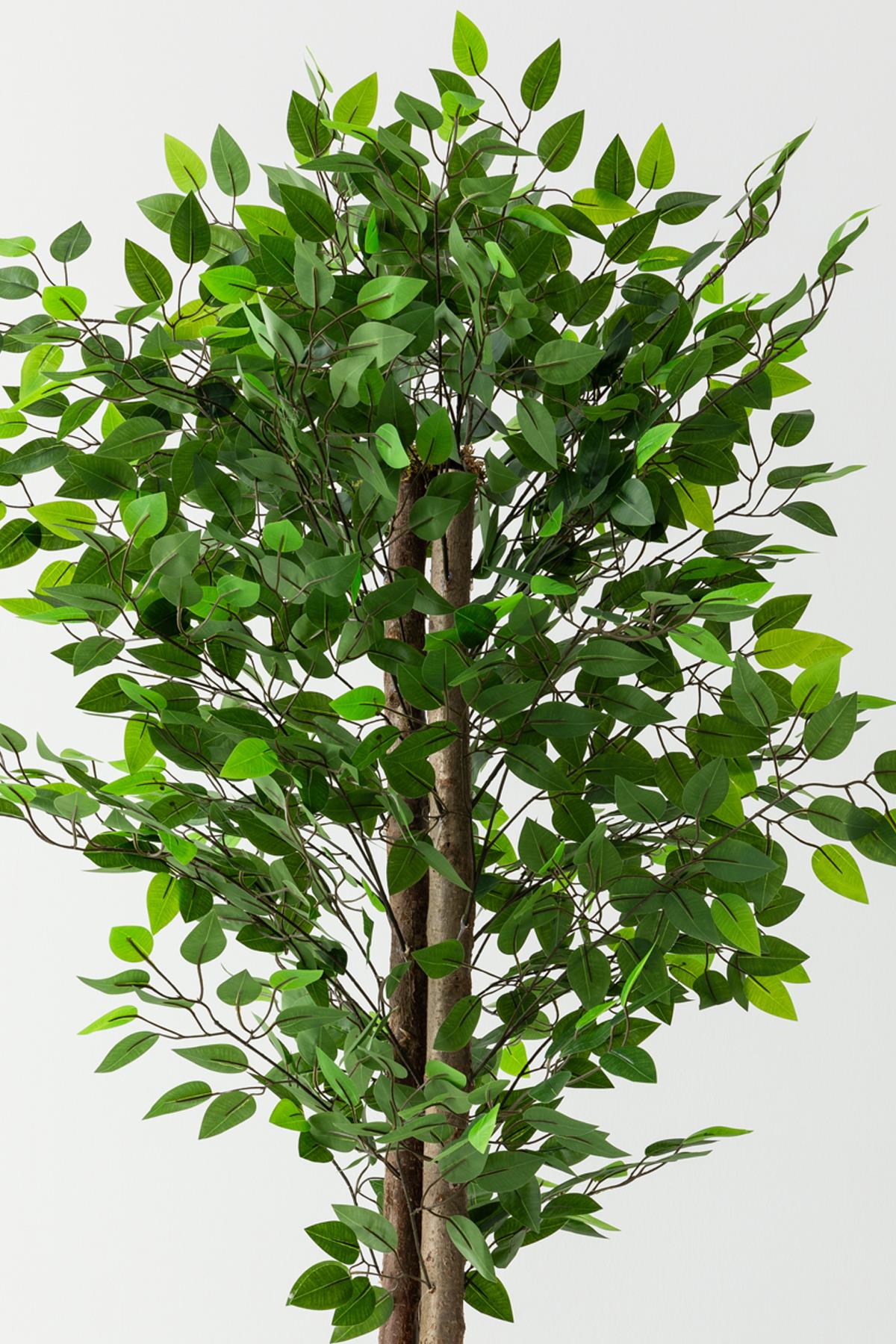 Yapay Benjamin Ağacı 160 Cm