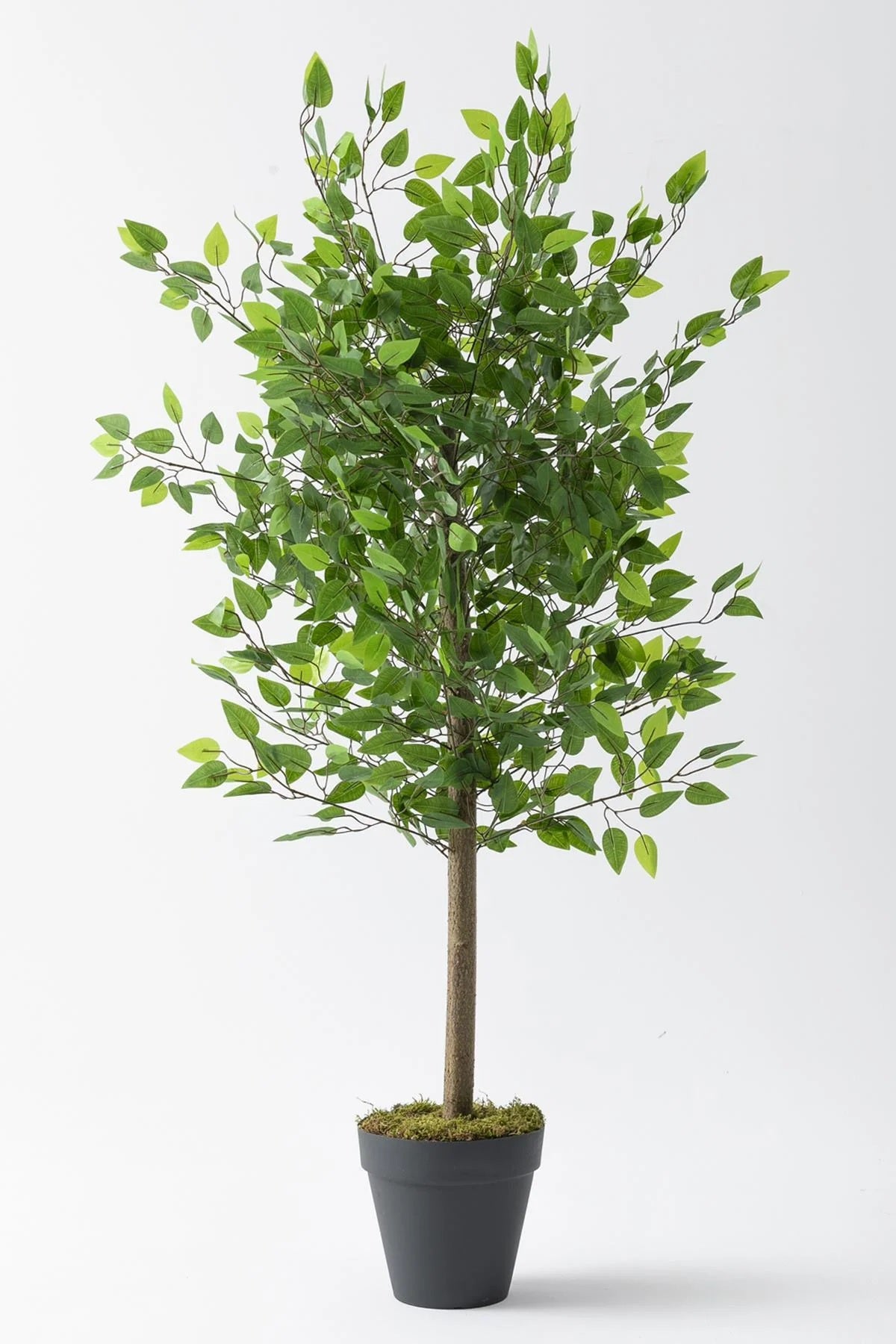 Yapay Benjamin Ağacı