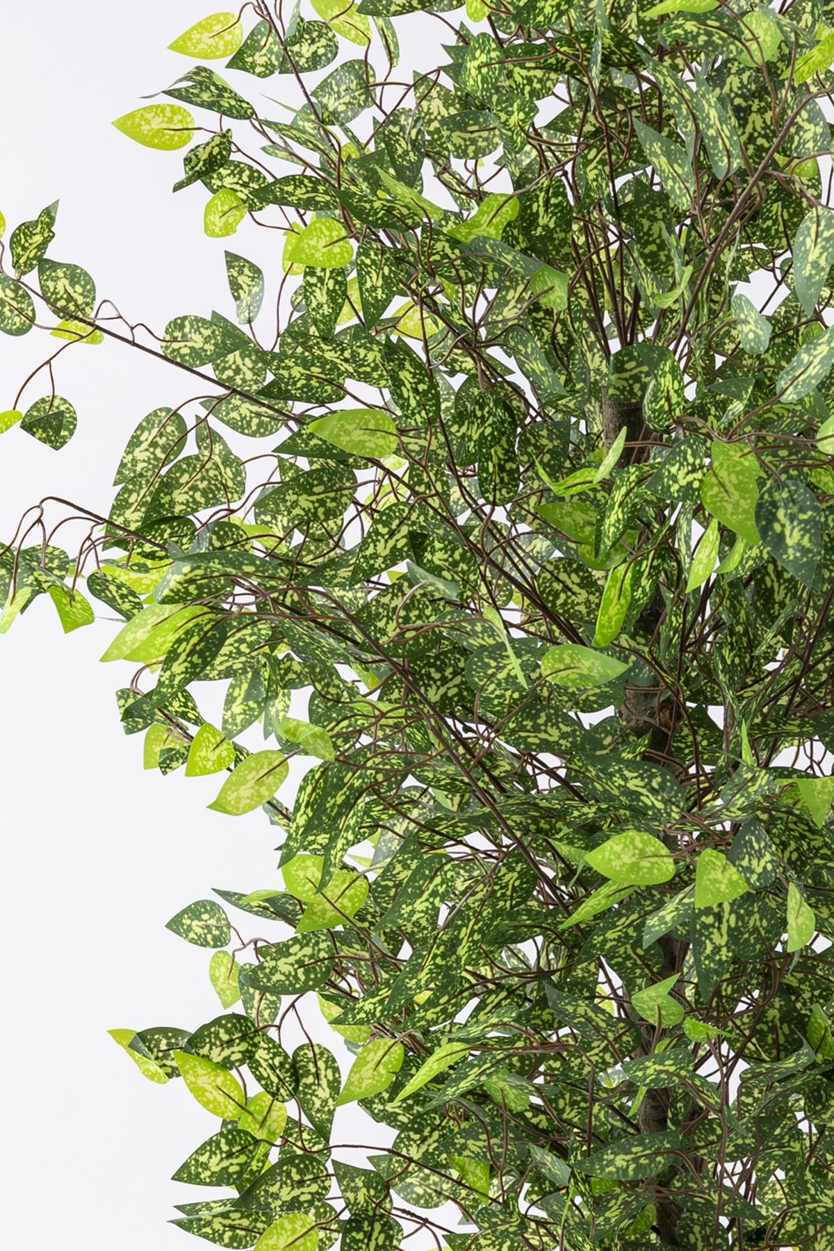 Yapay Benjamin Ağacı 180 Cm 108 Dal Alacalı Yeşil